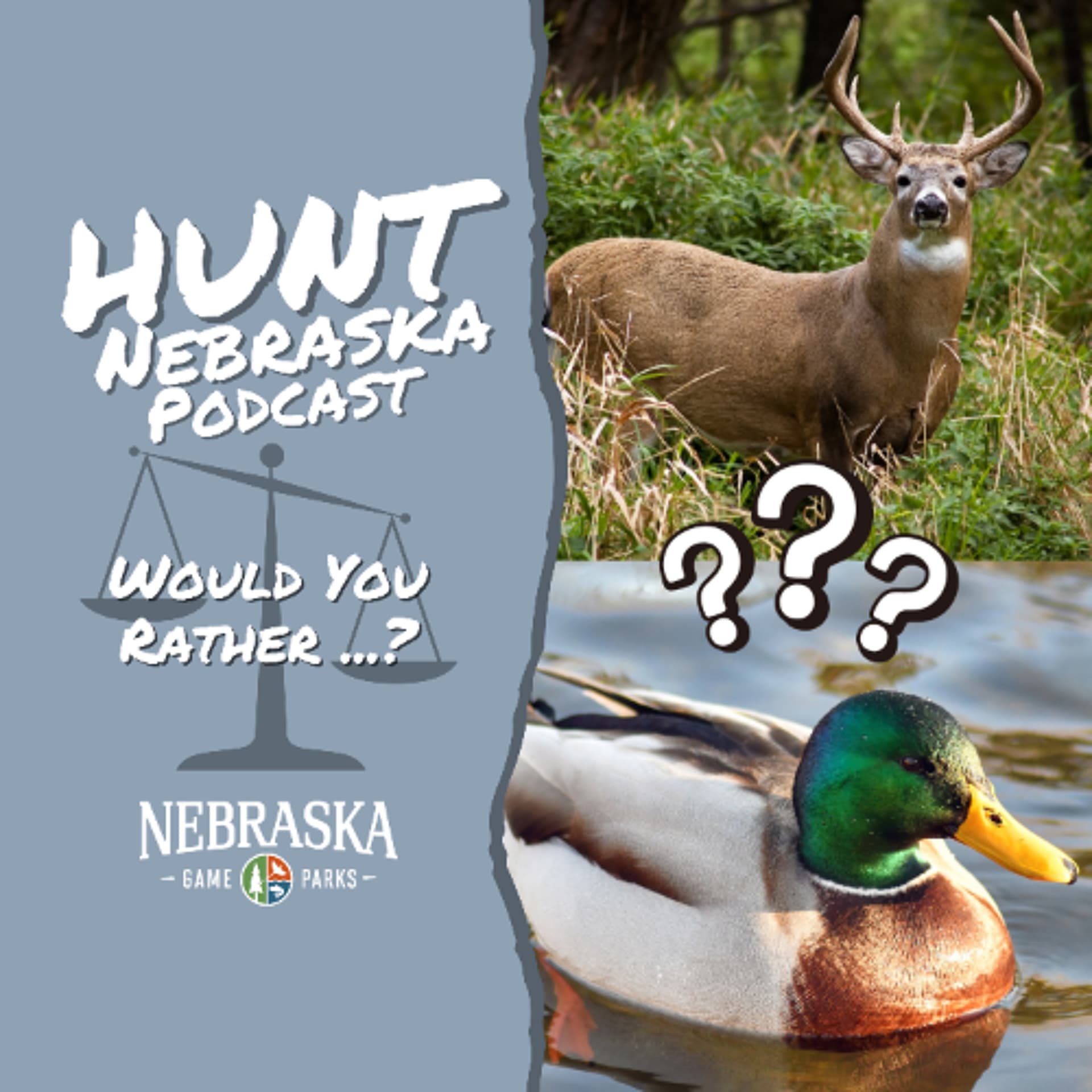 Would You Rather? — Hunt Nebraska cover