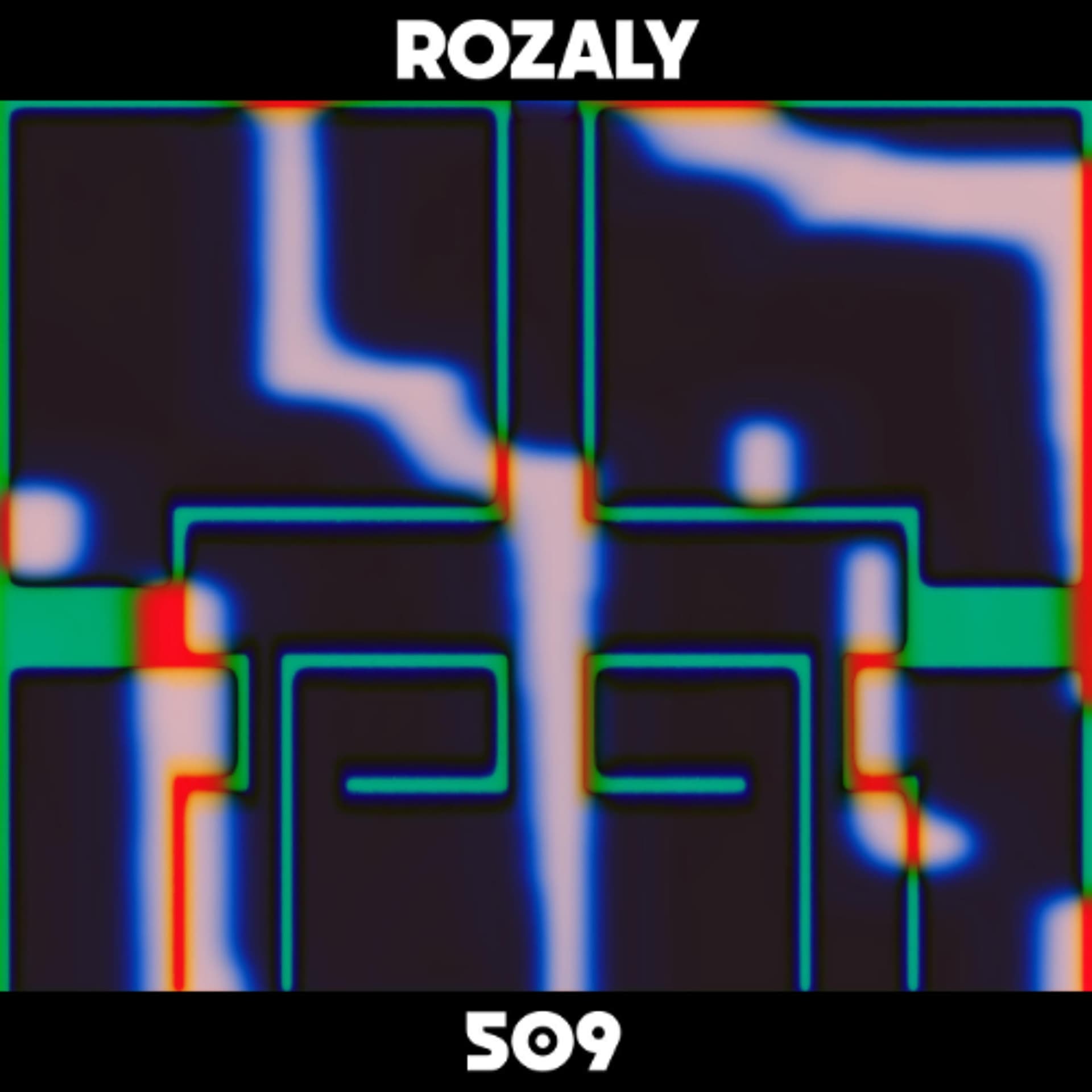 Dekmantel Mix 509 - Rozaly - Dekmantel Podcast cover