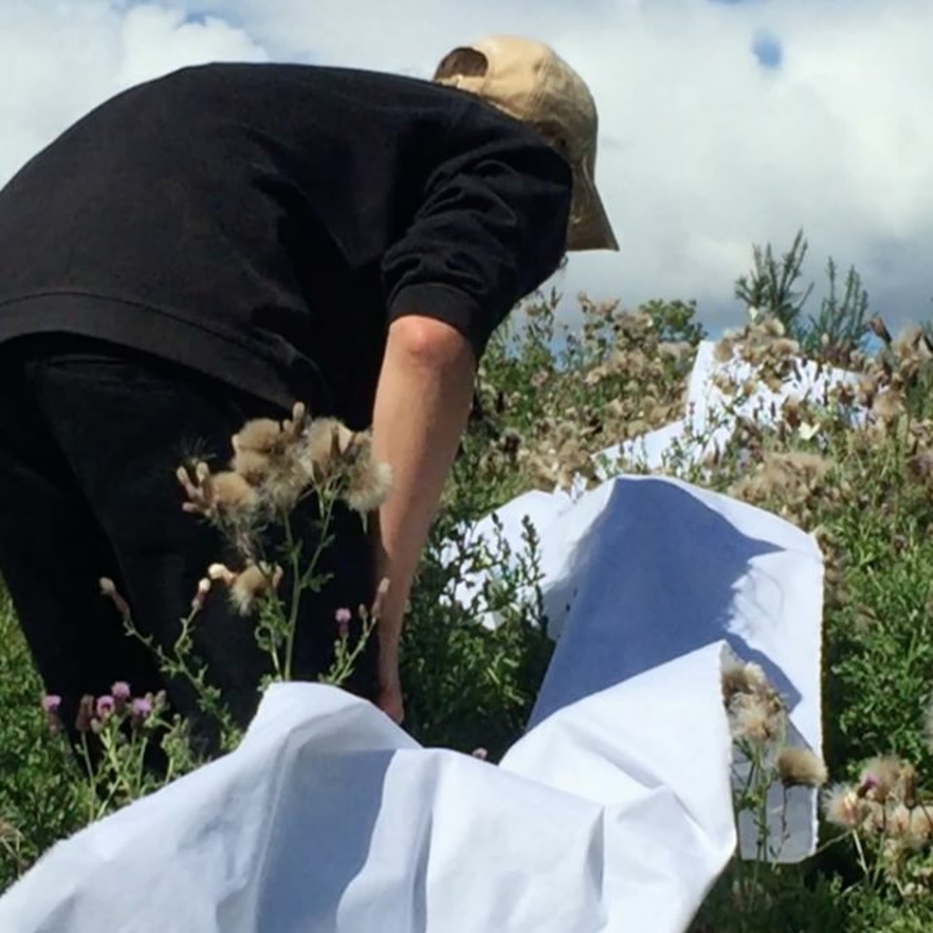 Supporting the reproduction of pollinators through a garden dance (with BIO cider farmer C. Toullec) — The Soft Protest, Digest cover