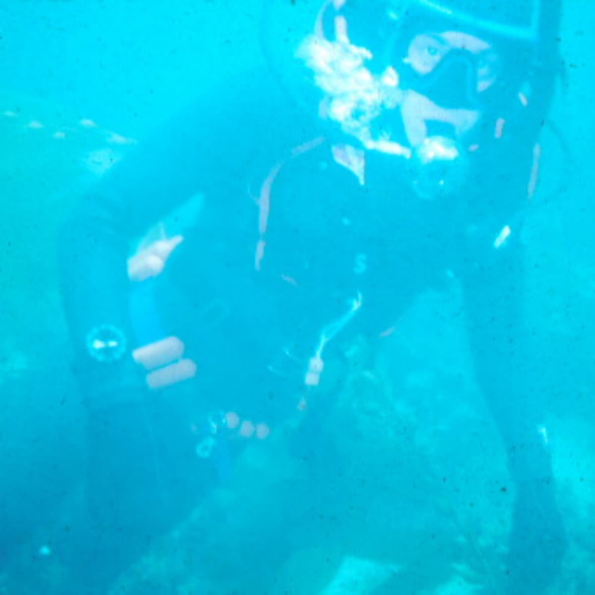 Episode 307-The Sounds Below - The Natural Curiosity Project cover