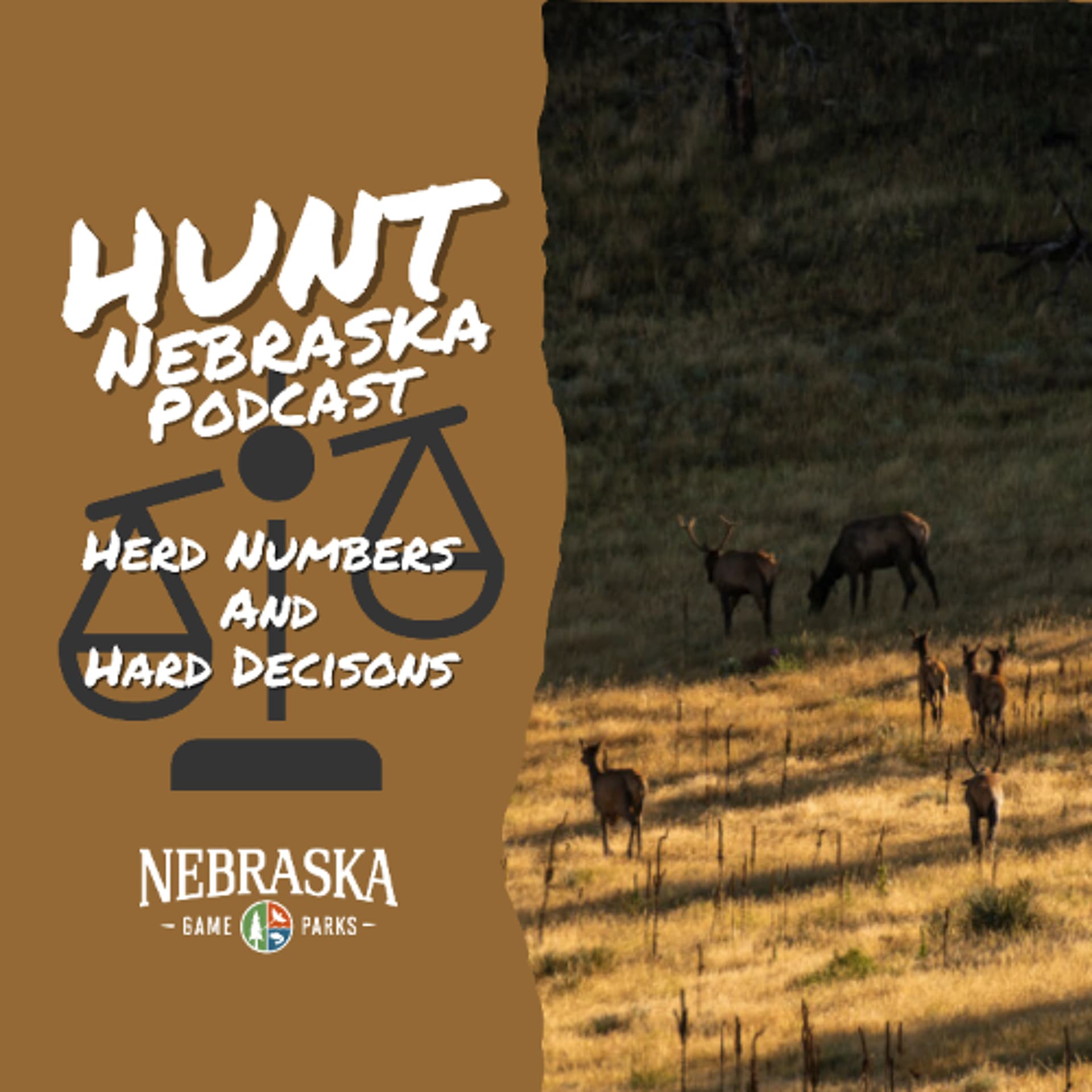 Herd Numbers and Hard Decisions — Hunt Nebraska cover