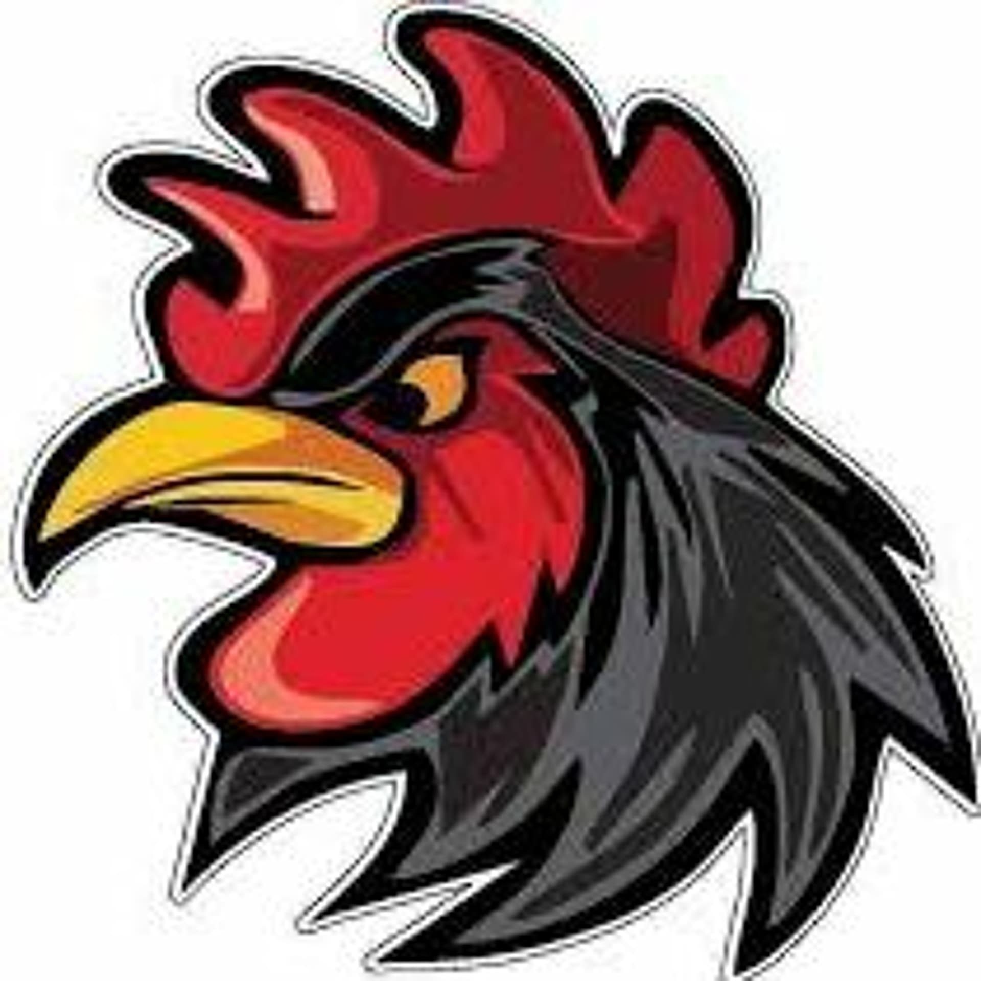 The Hawaiian Chicken Hunters Episode — The Afternooner sports podcast cover