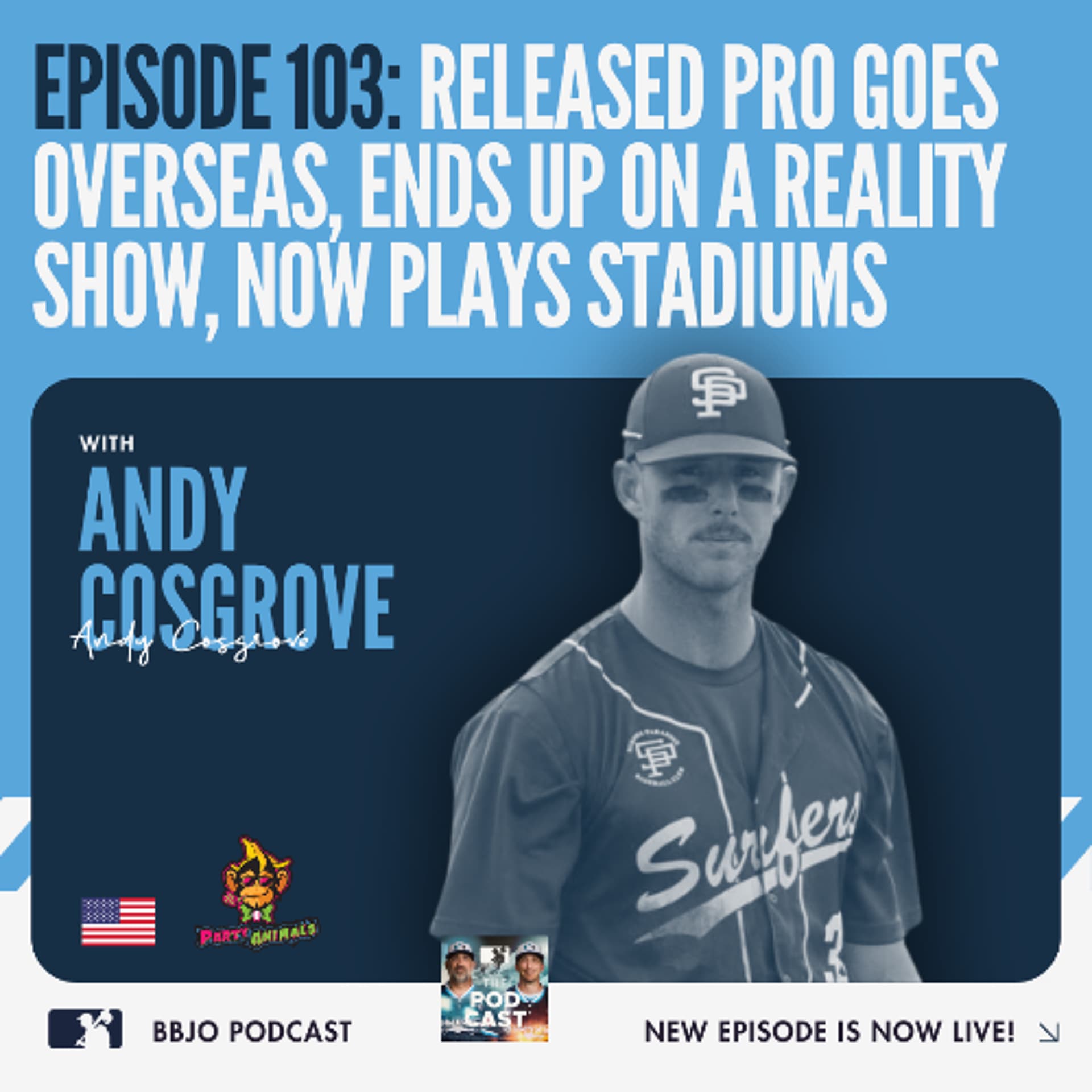 Released pro goes overseas, ends up on a reality show, now plays stadiums - Baseball Jobs Overseas Podcast cover
