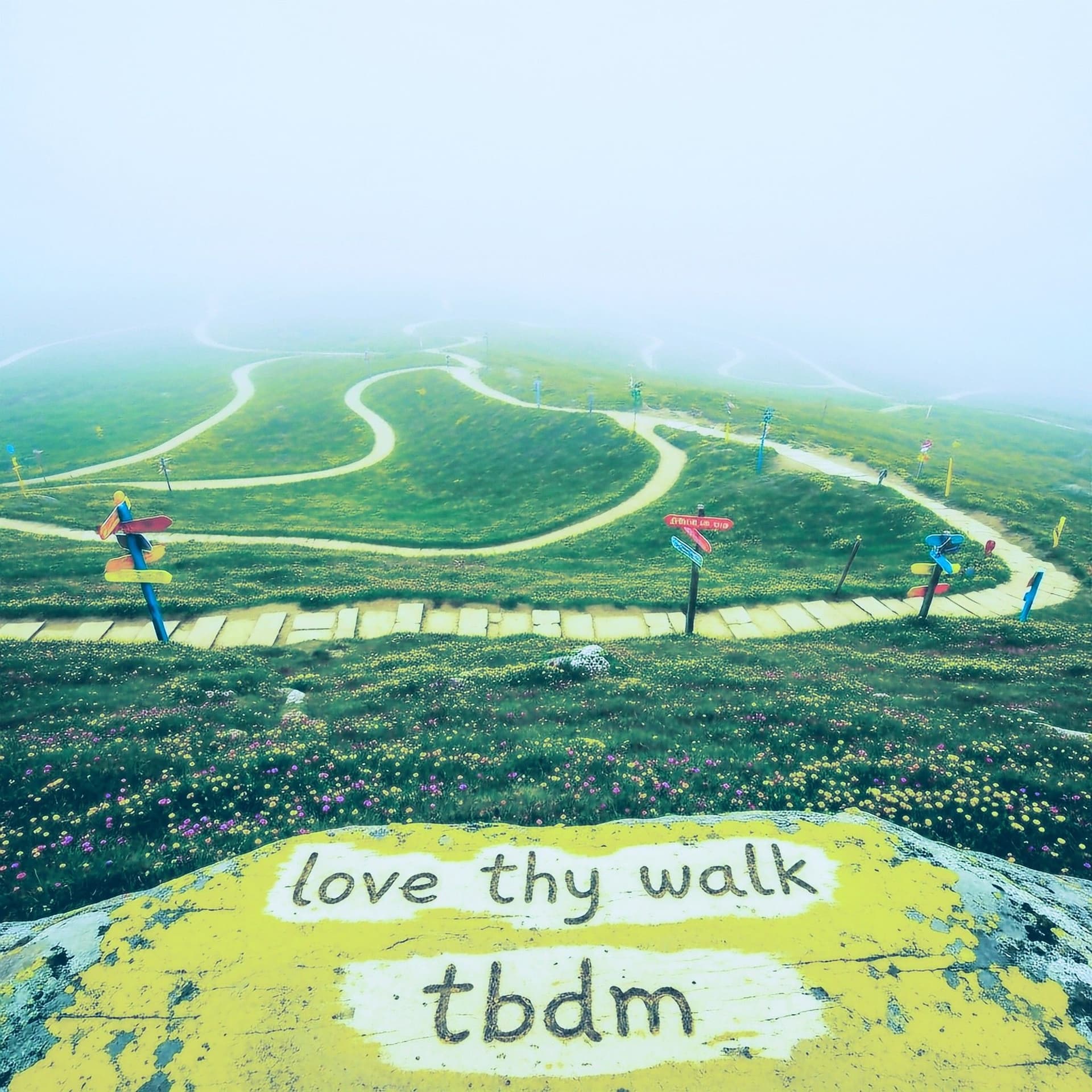 love thy walk - tbdm. cover