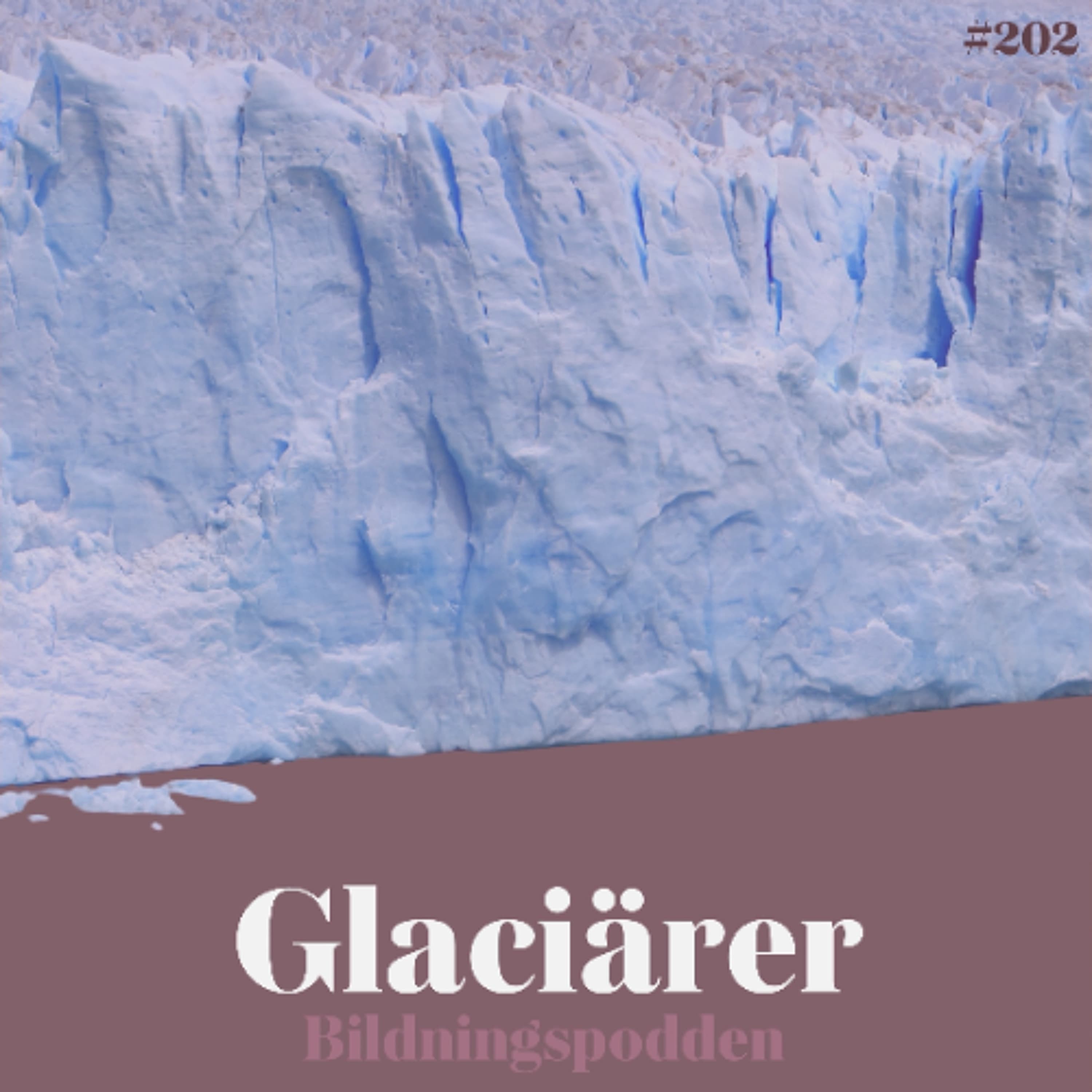 #202 Glaciärer - Bildningspodden cover
