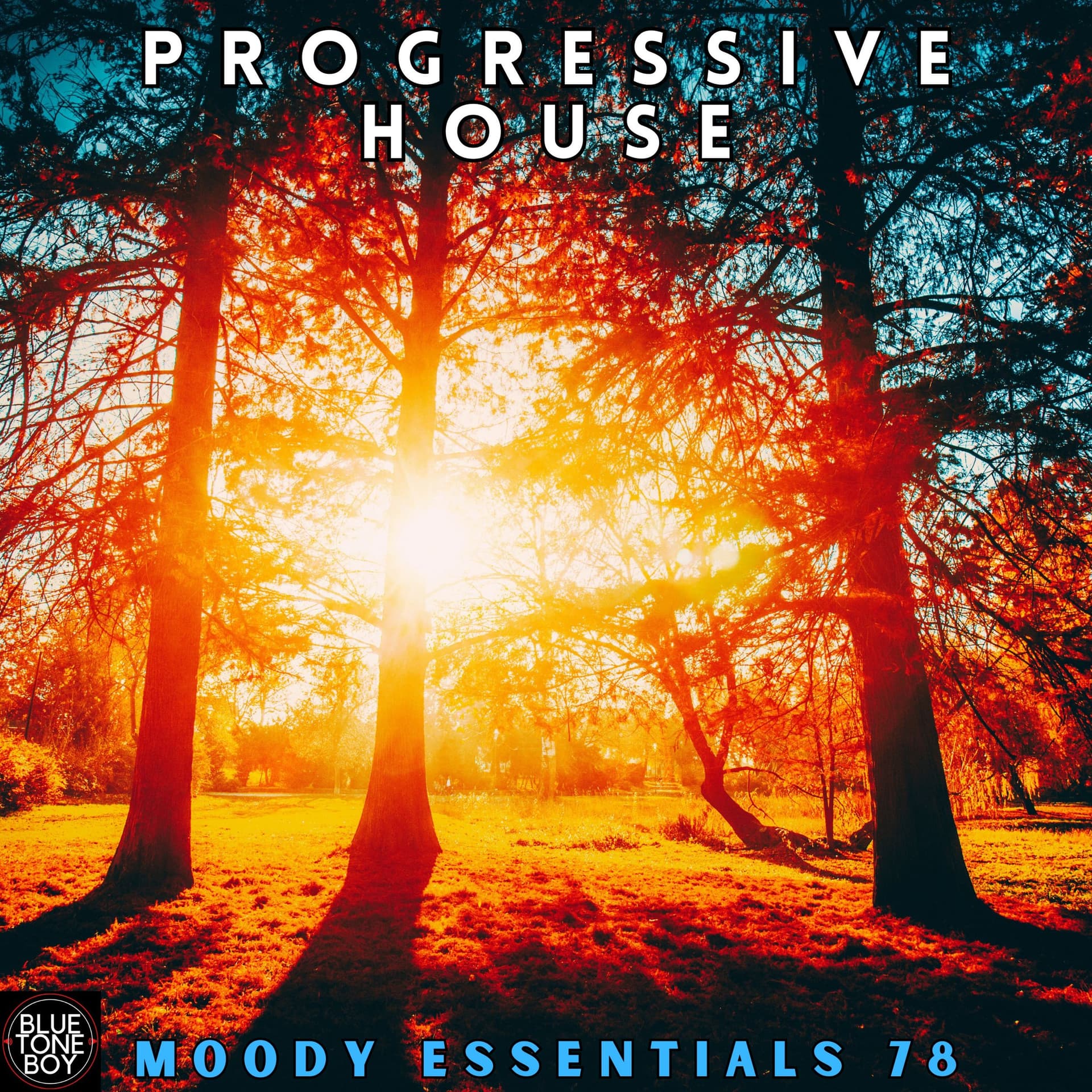 Moody Essentials 78 ~ #ProgressiveHouse Mix - Music B.T.B. cover