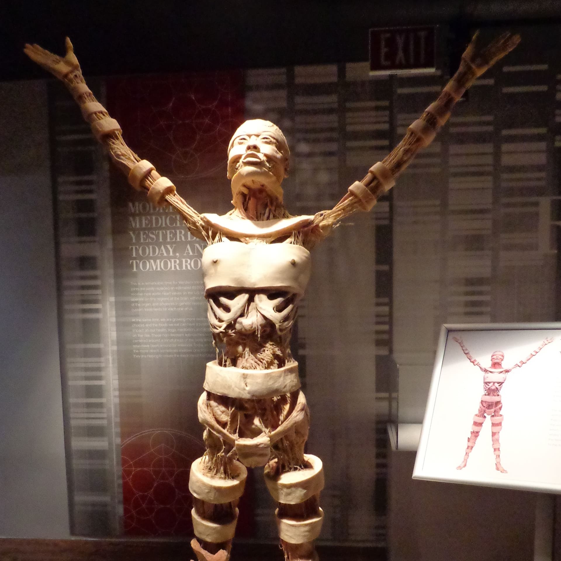 "'Real Bodies' at Horseshoe Las Vegas" - The Complete Tom Zaller Interview - Vegas Never Sleeps cover