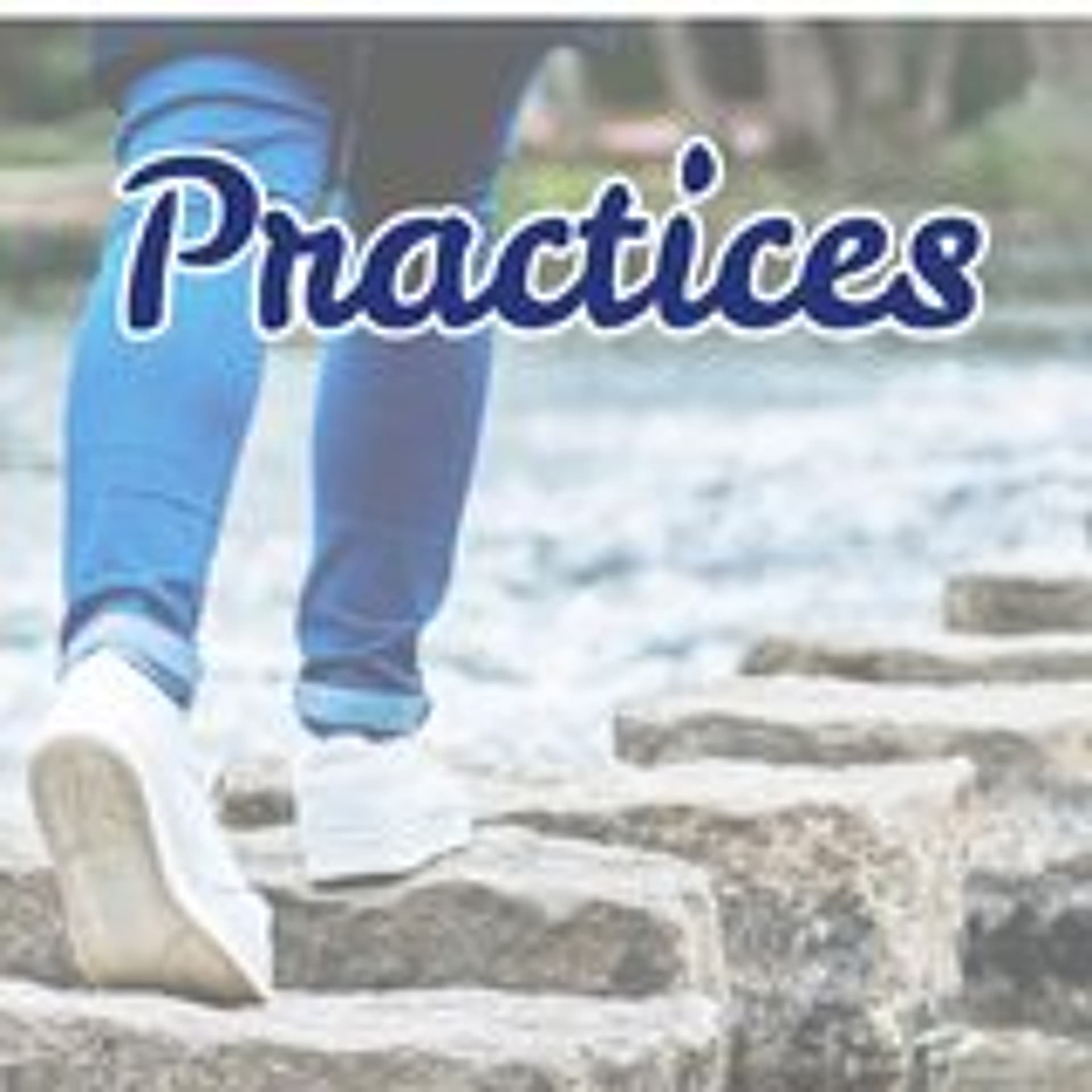 Practices, Part 4 - Worship : Steve Larkin - The Billabong cover
