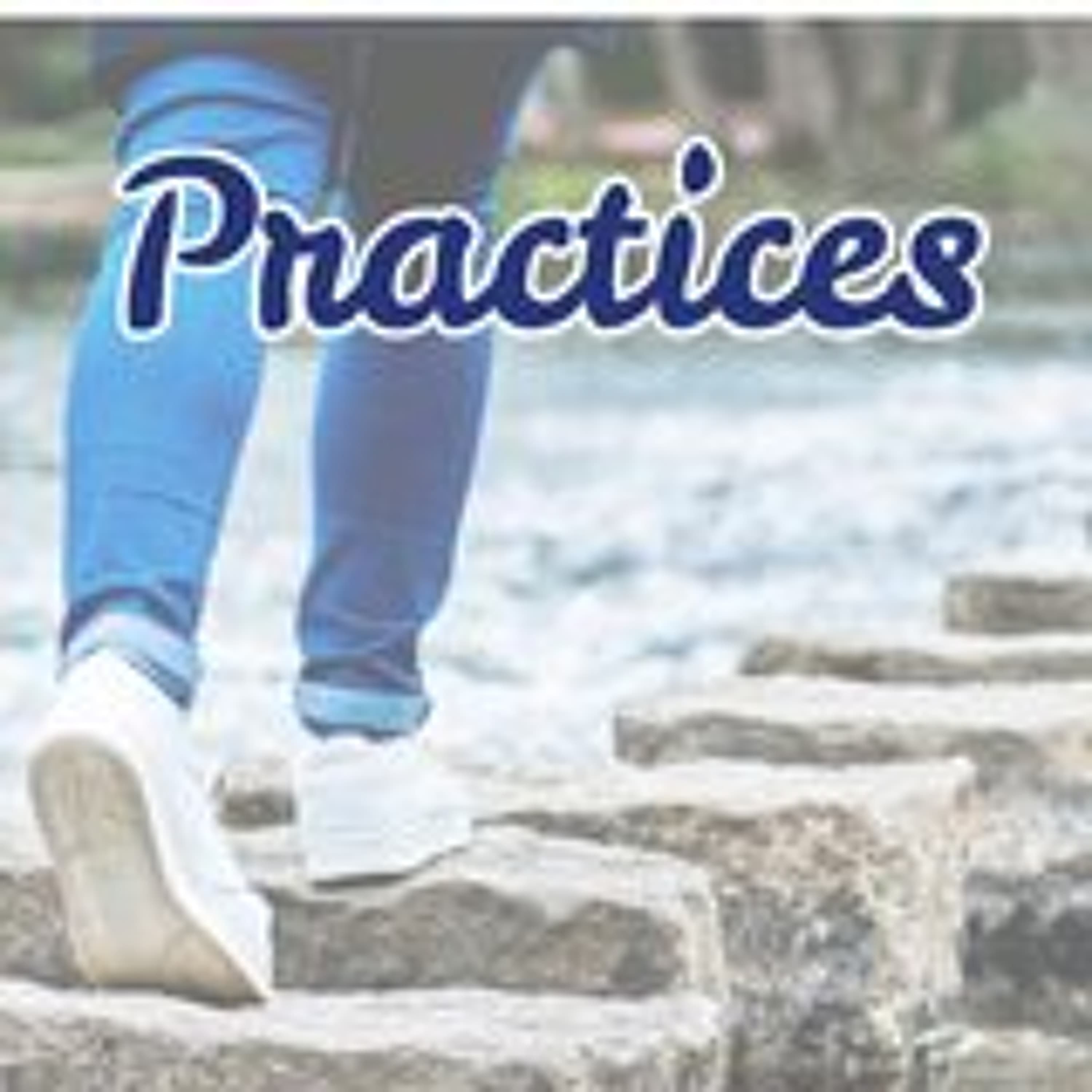 Practices, Part 5 - Money: Steve Larkin - The Billabong cover