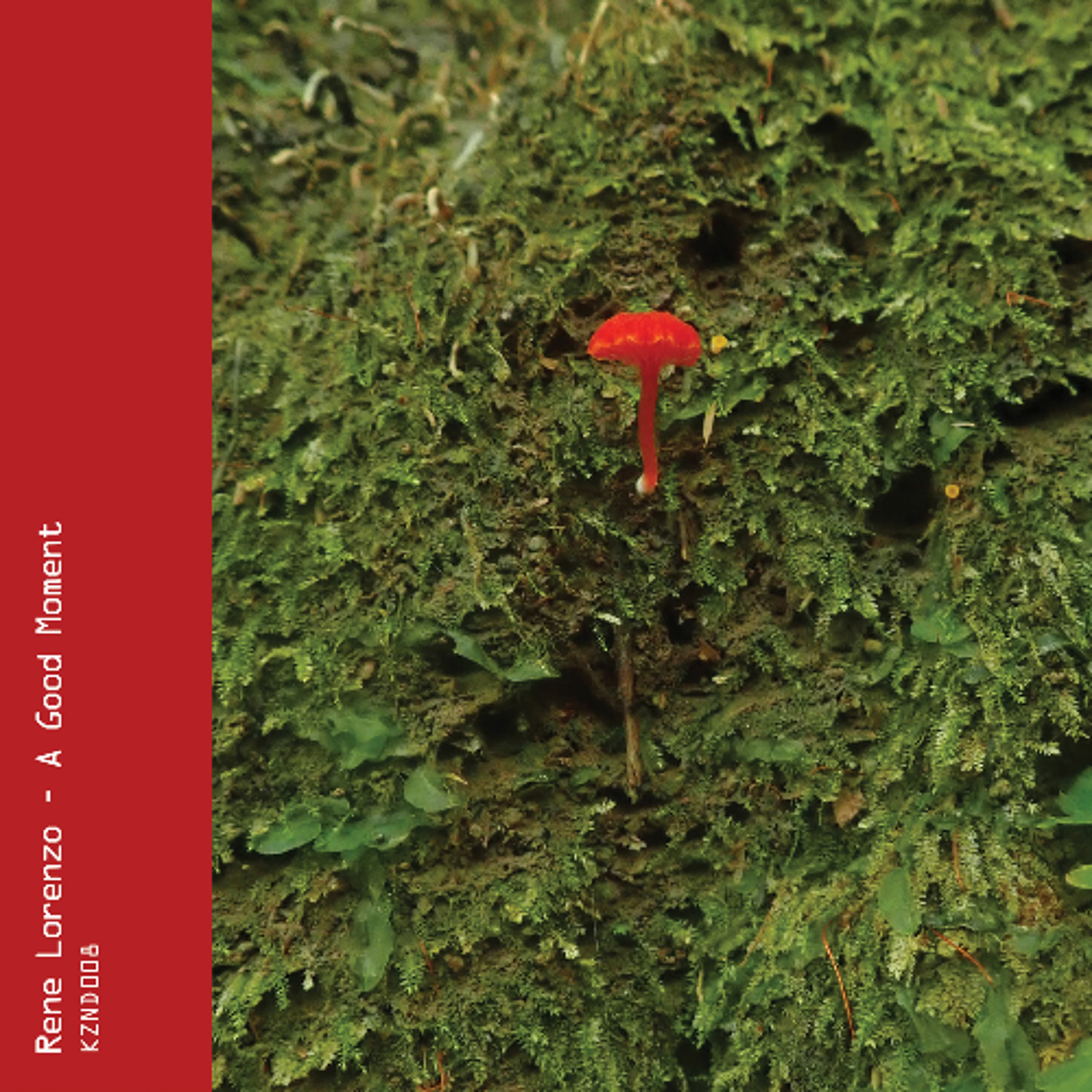 PREMIERE: Rene Lorenzo - Delirium Tremens [Kizen Records] - Delayed cover