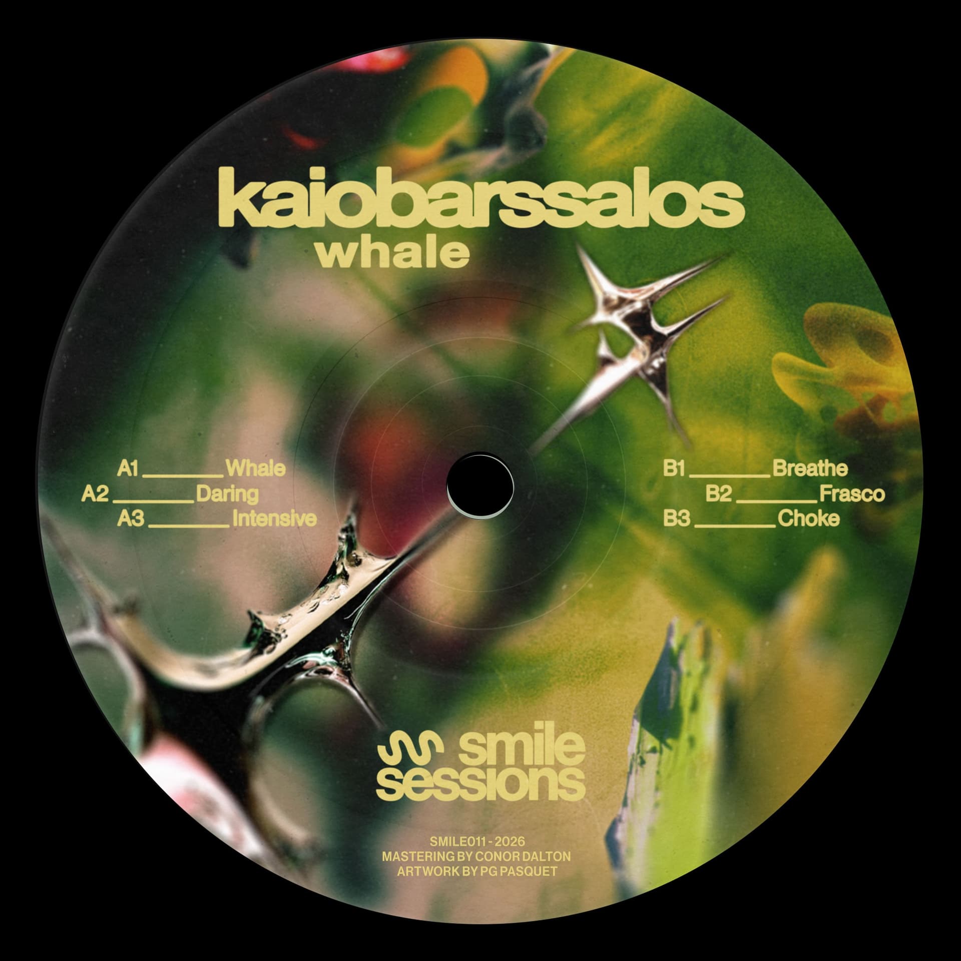 Premiere: KaioBarssalos — Whale [SMILE011] - HATE Podcasts cover