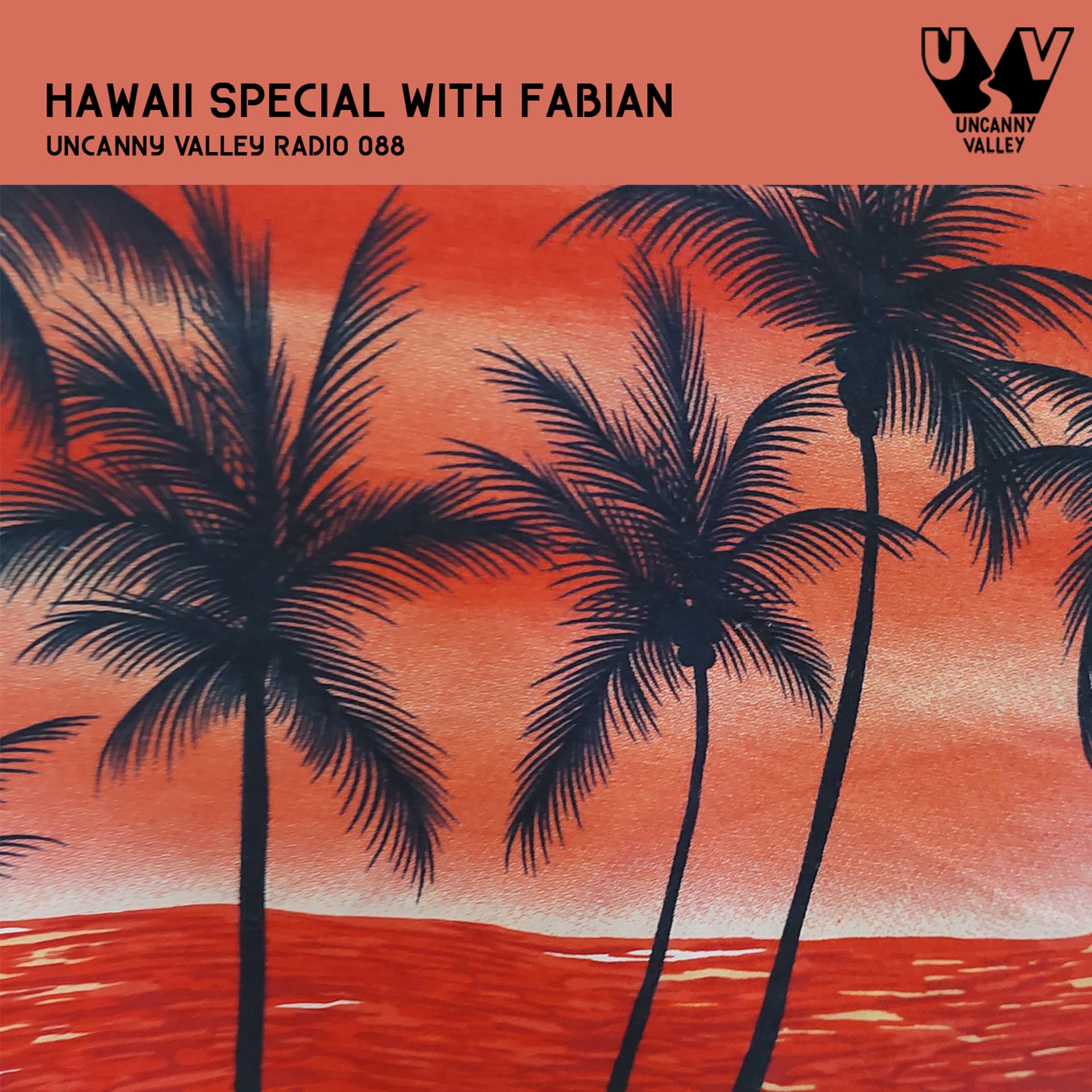 Uncanny Valley Radio 088 - Hawaii Special with Fabian - Uncanny Valley Radio hosted by Philipp Demankowski cover