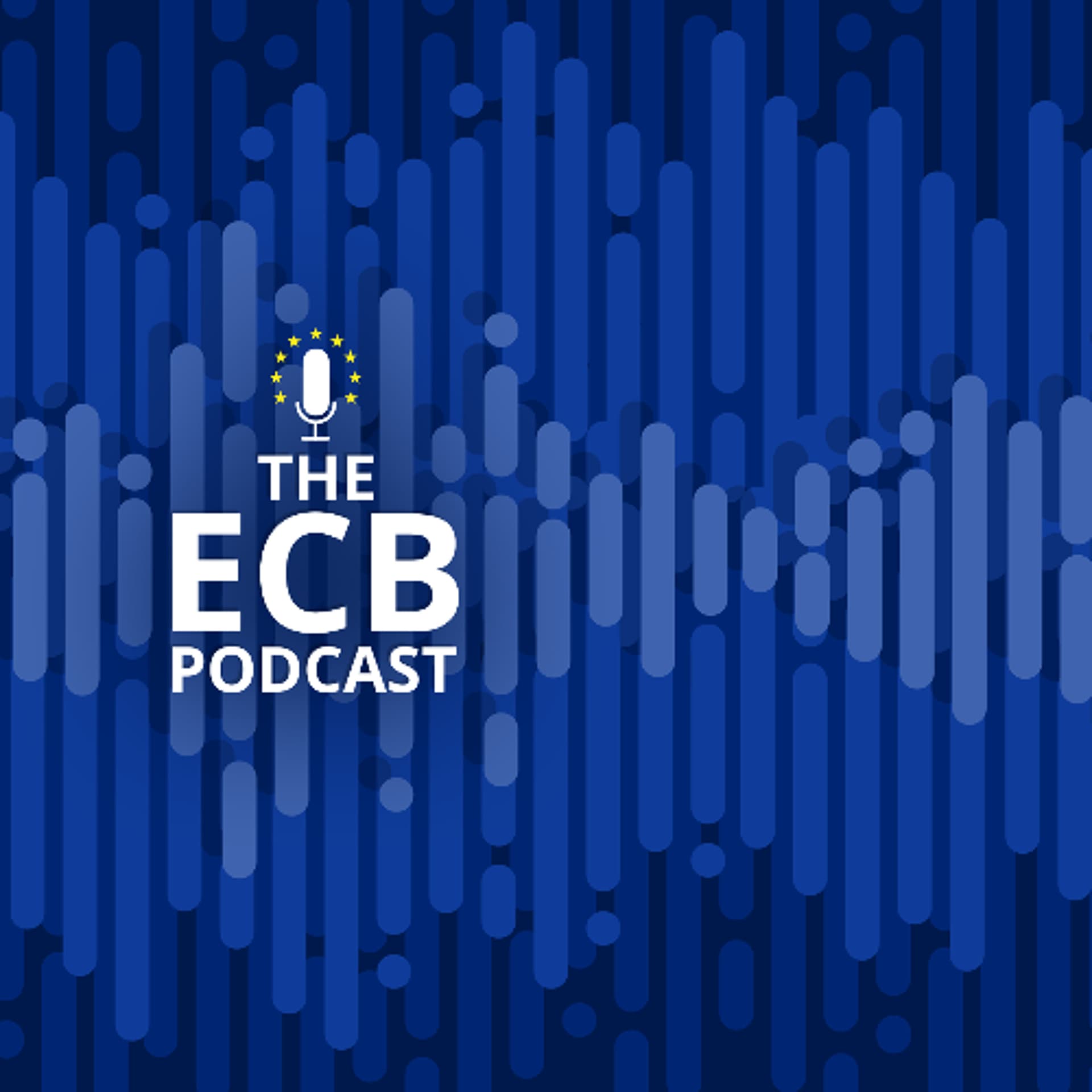 Navigating financial stability in uncertain times - Euro Matters – the European Central Bank Podcast cover