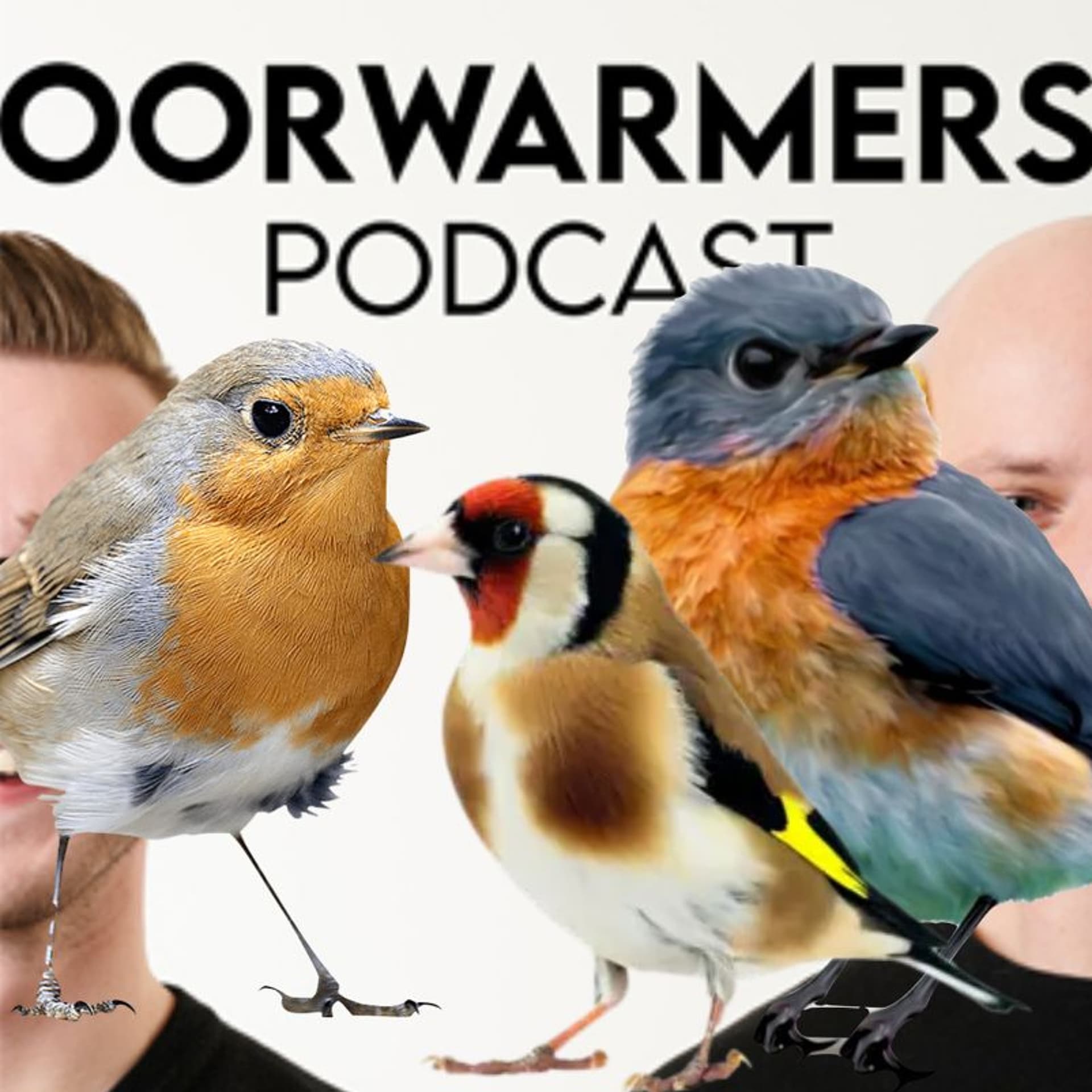 Afl. 69: Vogels - Oorwarmers Podcast cover