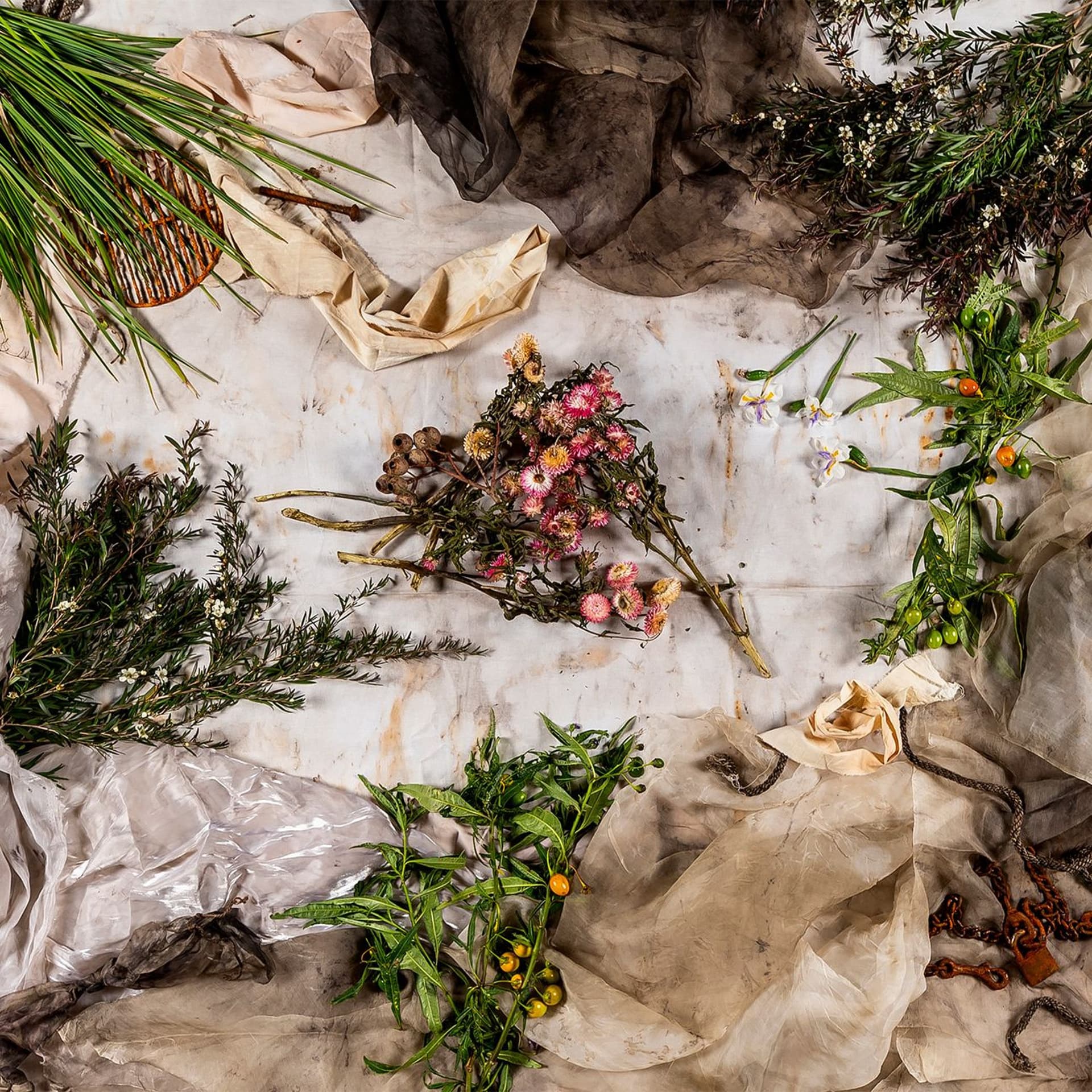 8. Connections, bond and country - Arts House Listening Program cover