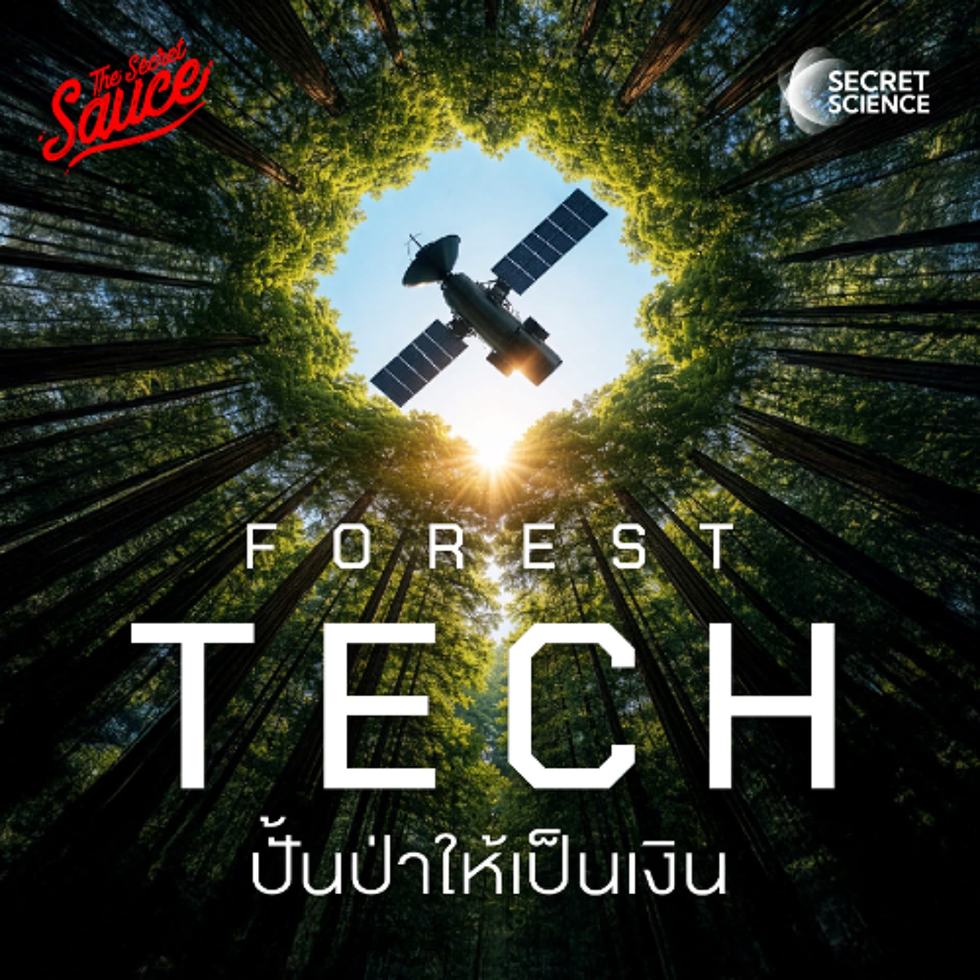 Secret Science EP.26 Forest Tech ปั้นป่าให้เป็นเงินด้วยเทคโนโลยีป่าไม้ - THE STANDARD PODCAST cover