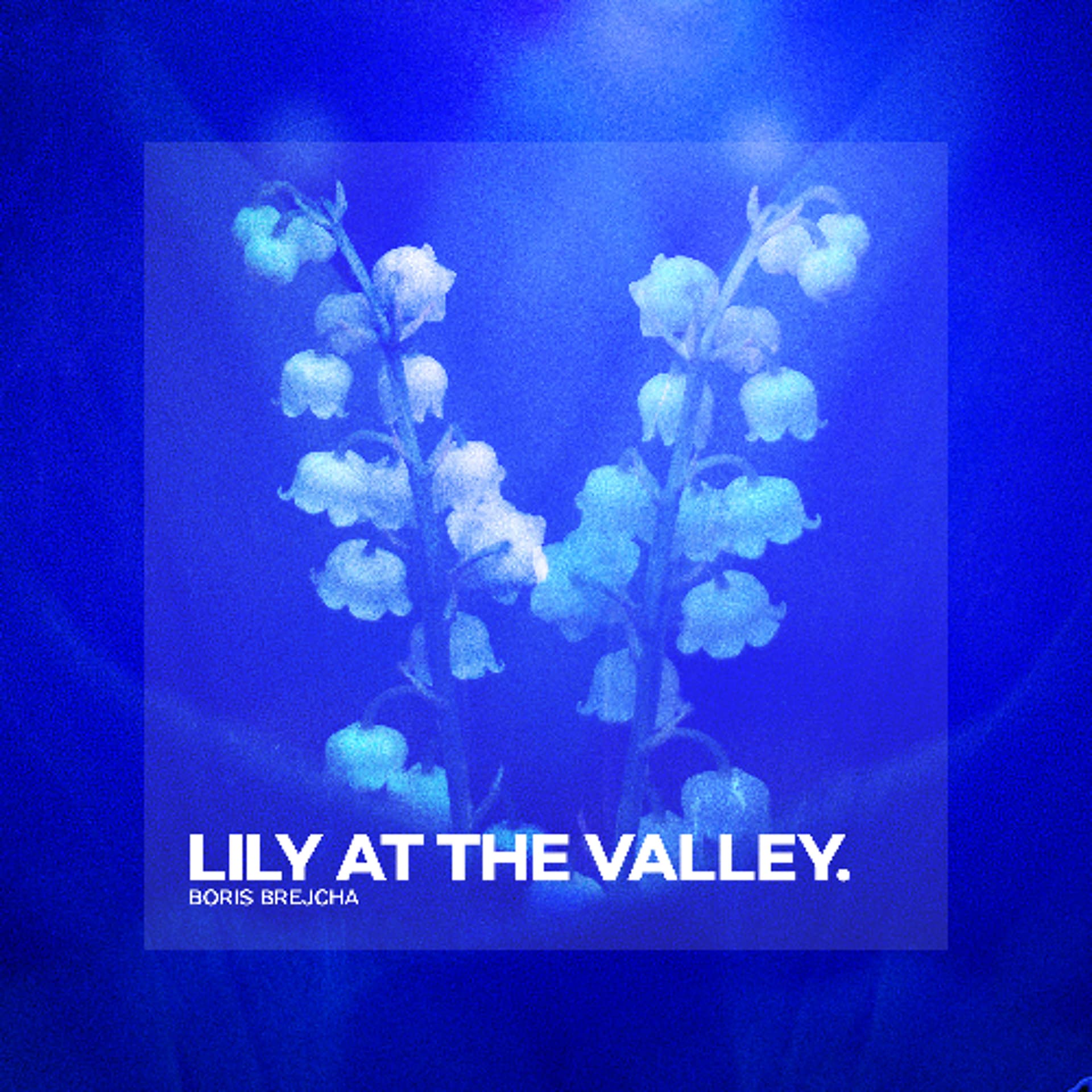 Lily At The Valley (Original Mix) - Boris Brejcha cover