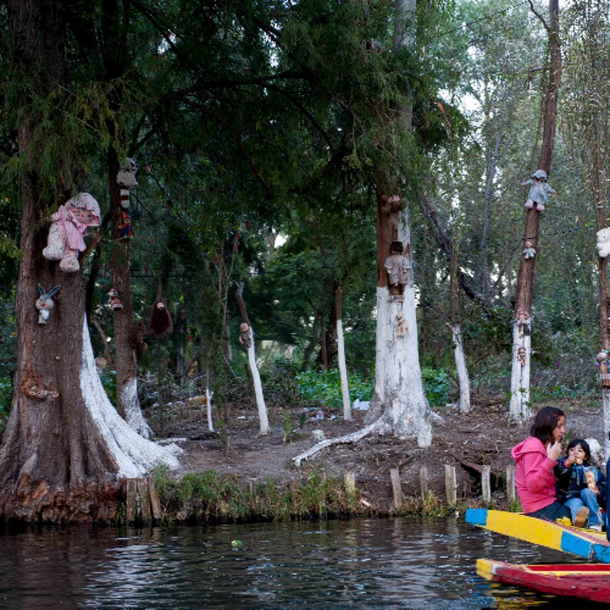 Episode 314-Mexico’s Island of the Dolls - The Natural Curiosity Project cover