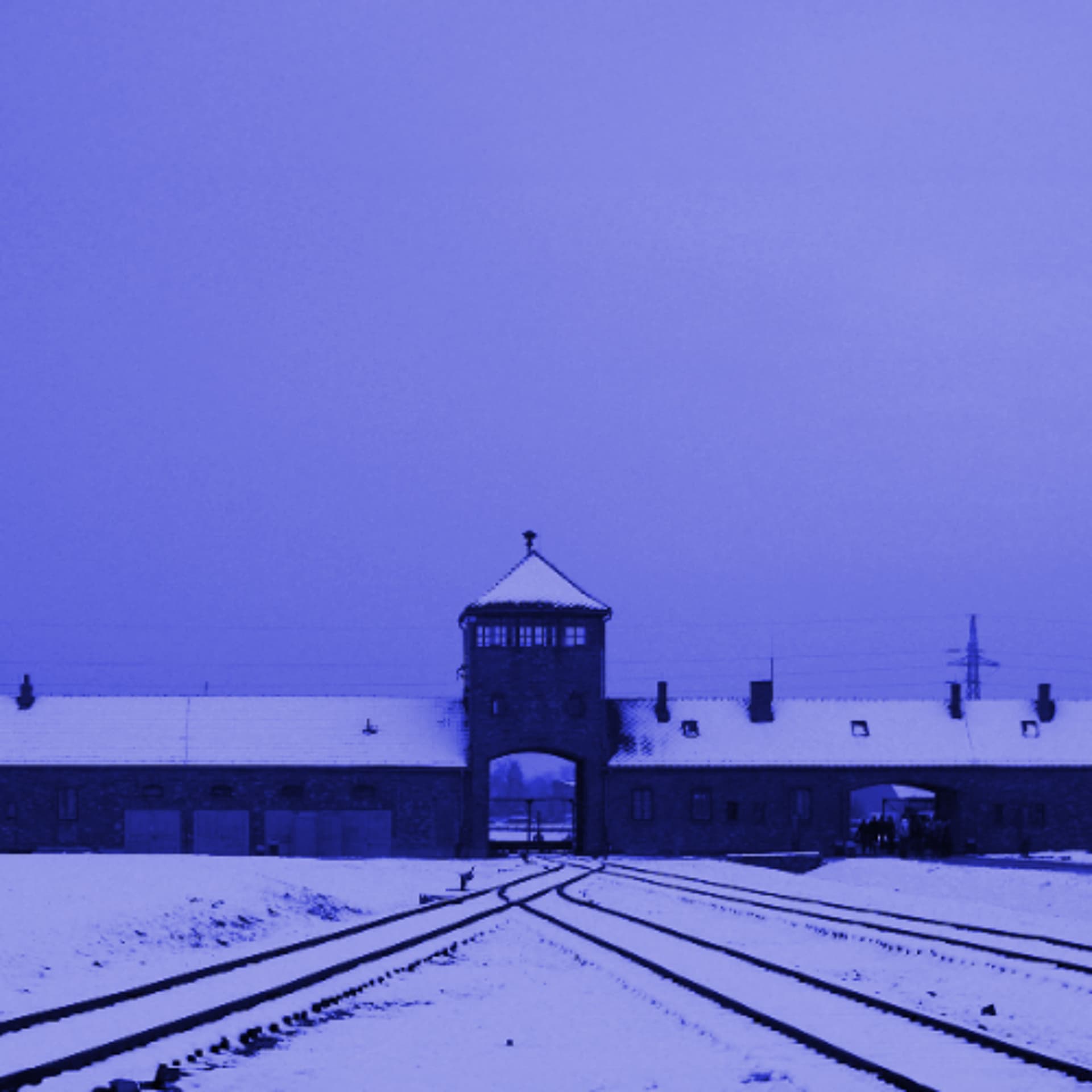 The Nazi Experiment, Vol. 14: Germany Is Not an Economic Zone — New Discourses cover