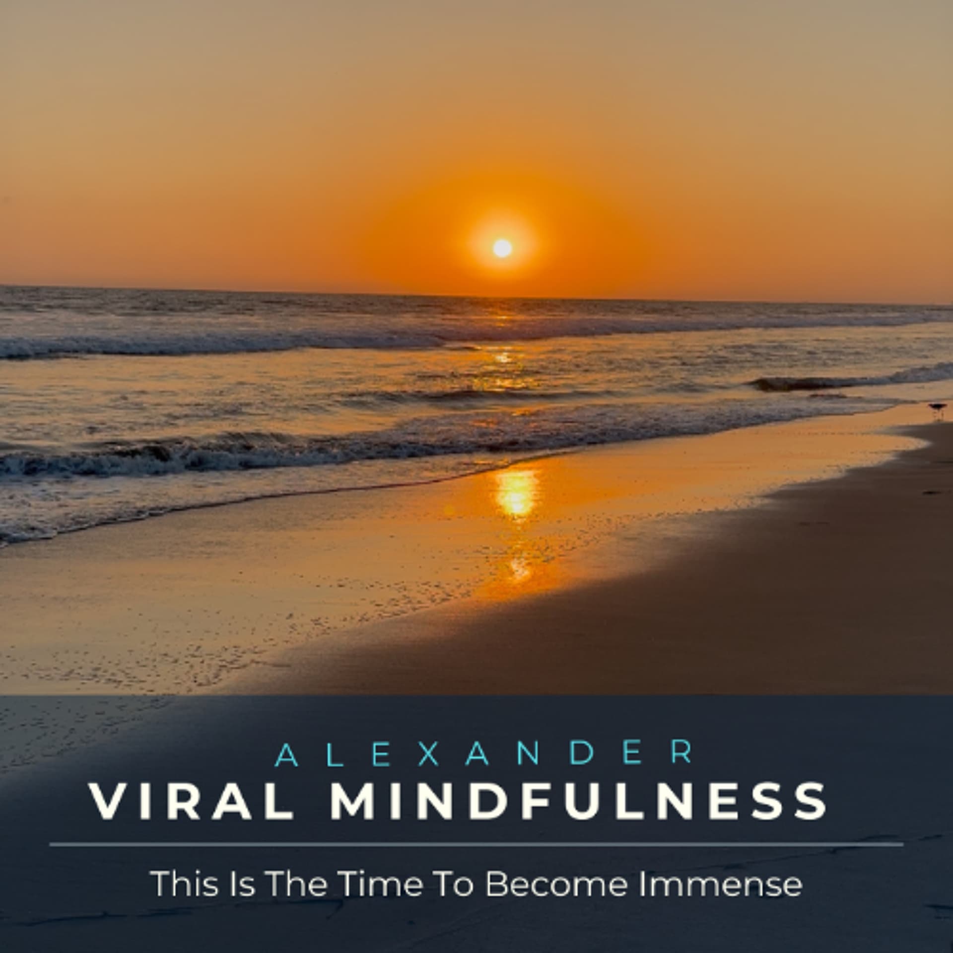 This Is The Time To Become Immense - Viral Mindfulness the Podcast cover
