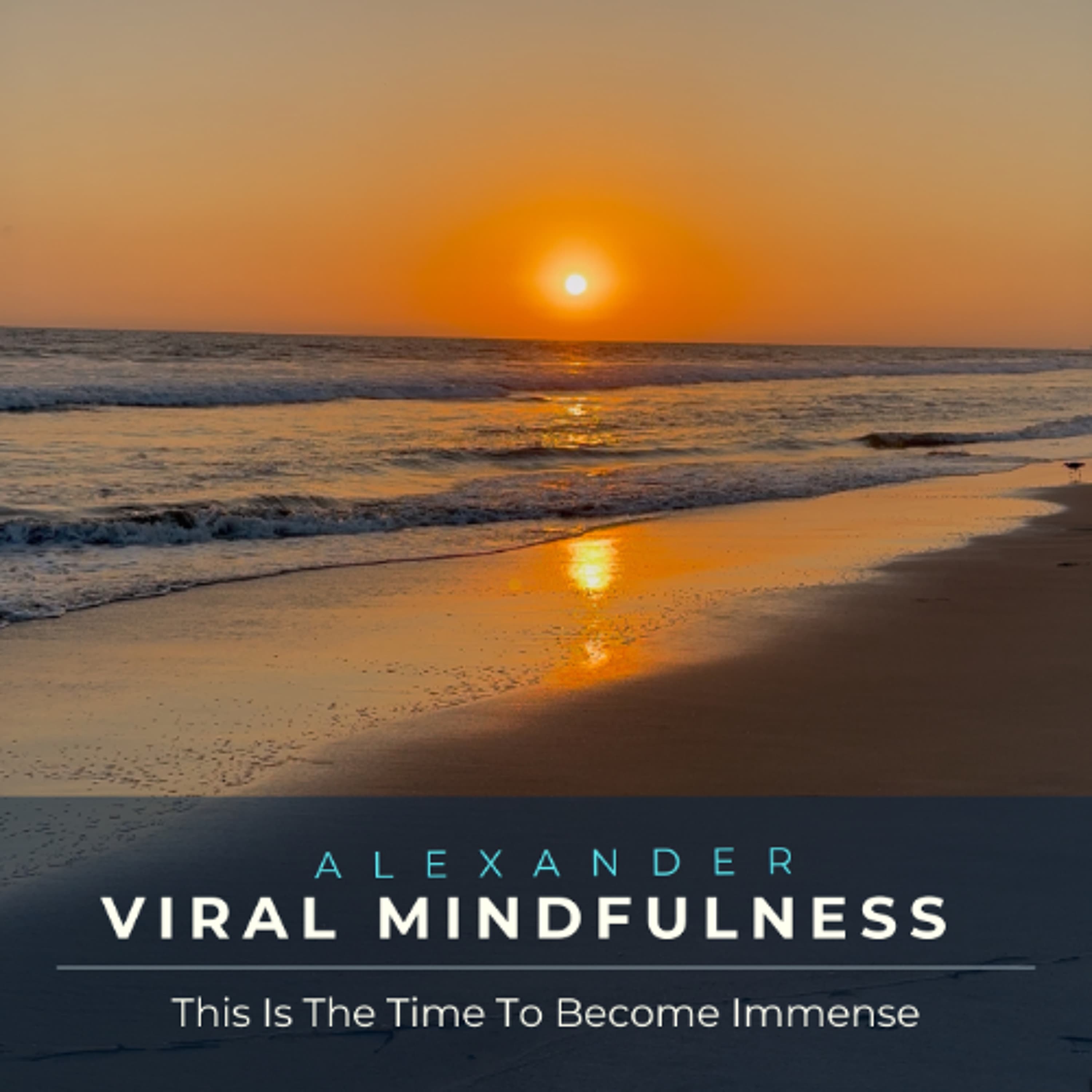 This Is The Time To Become Immense - Viral Mindfulness the Podcast cover