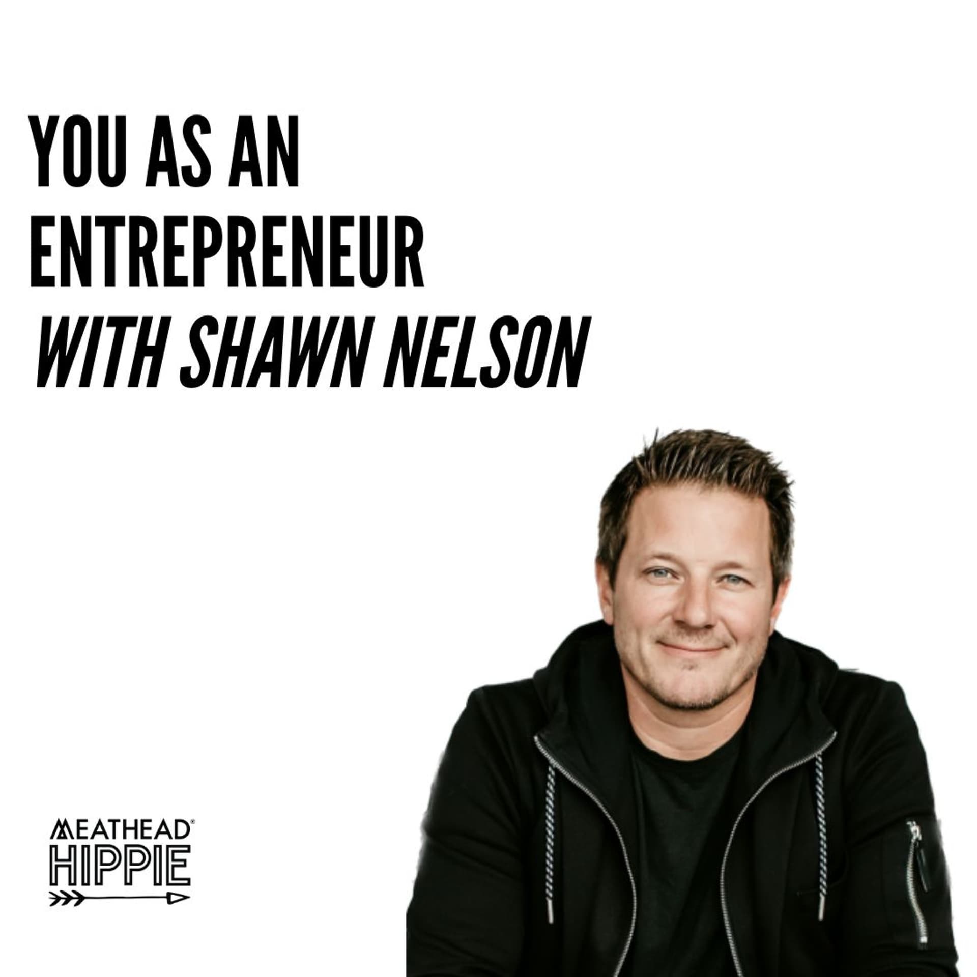 #178: YOU as an entrepreneur : a conversation with Shawn Nelson from LoveSac — Meathead Hippie cover
