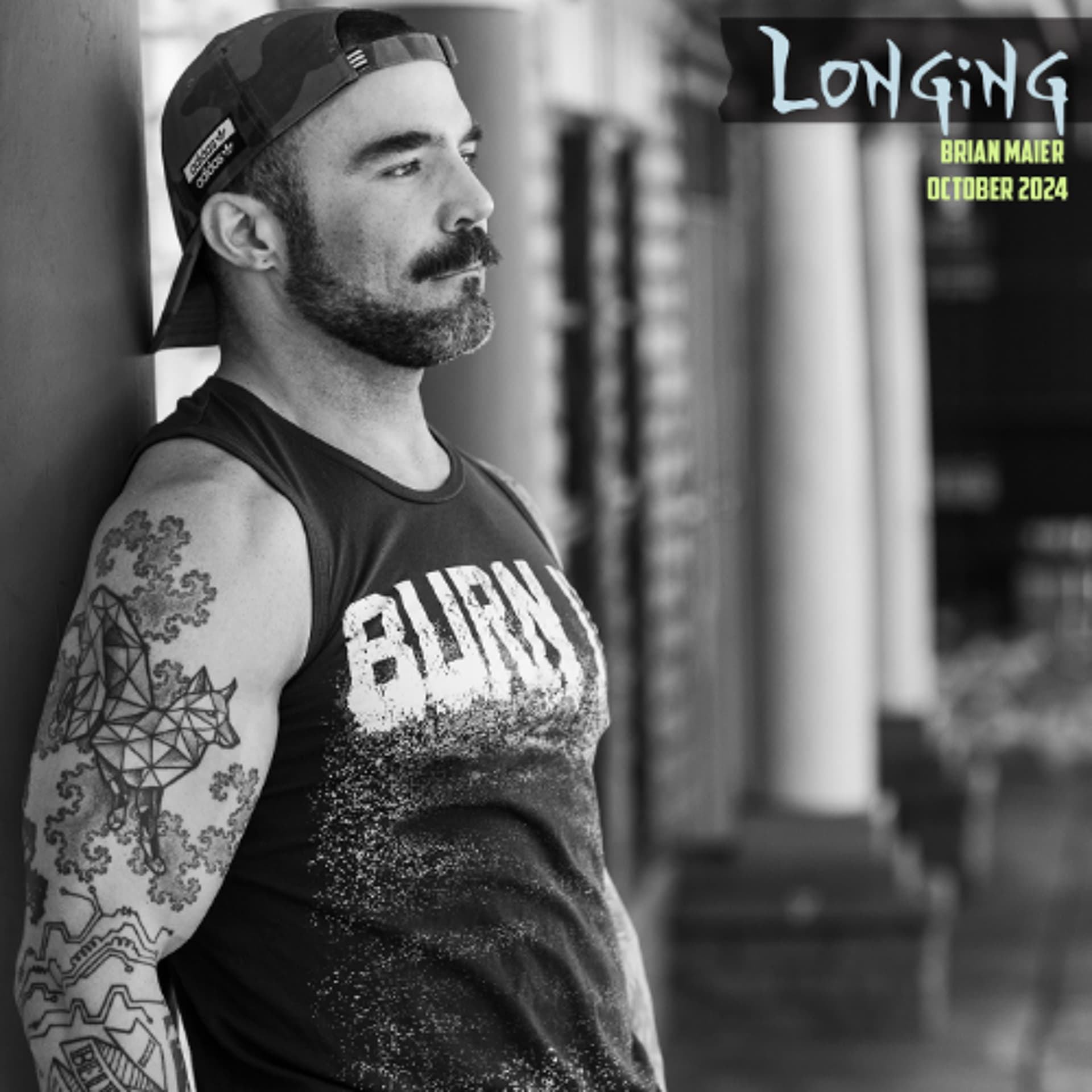 Longing - DJ Brian Maier's Podcast cover