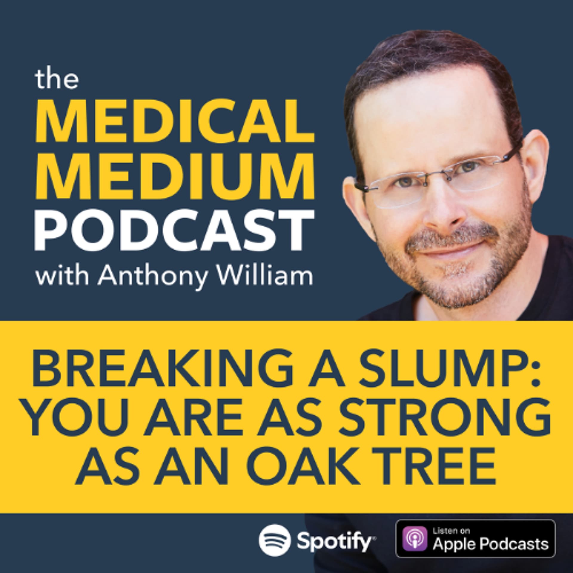 117 Breaking A Slump: You Are As Strong As An Oak Tree — Medical Medium Podcast cover
