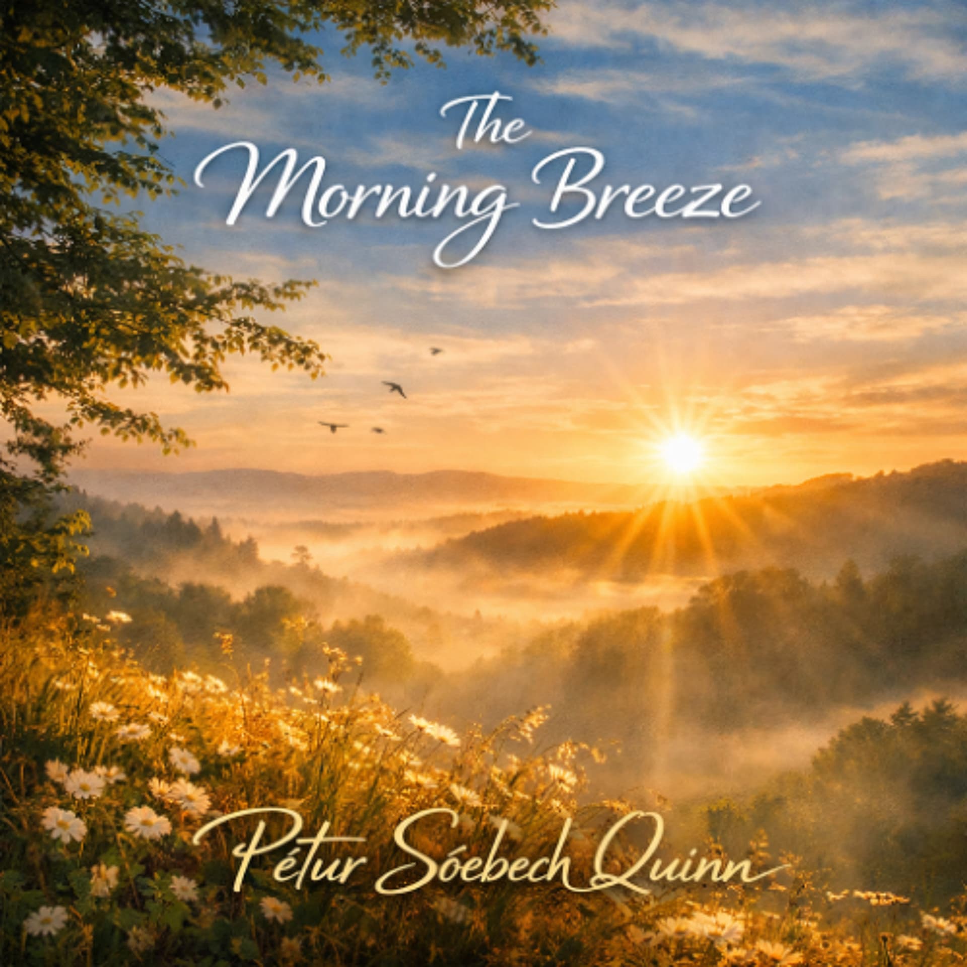 The Morning Breeze Song — Pétur Söebech Quinn cover