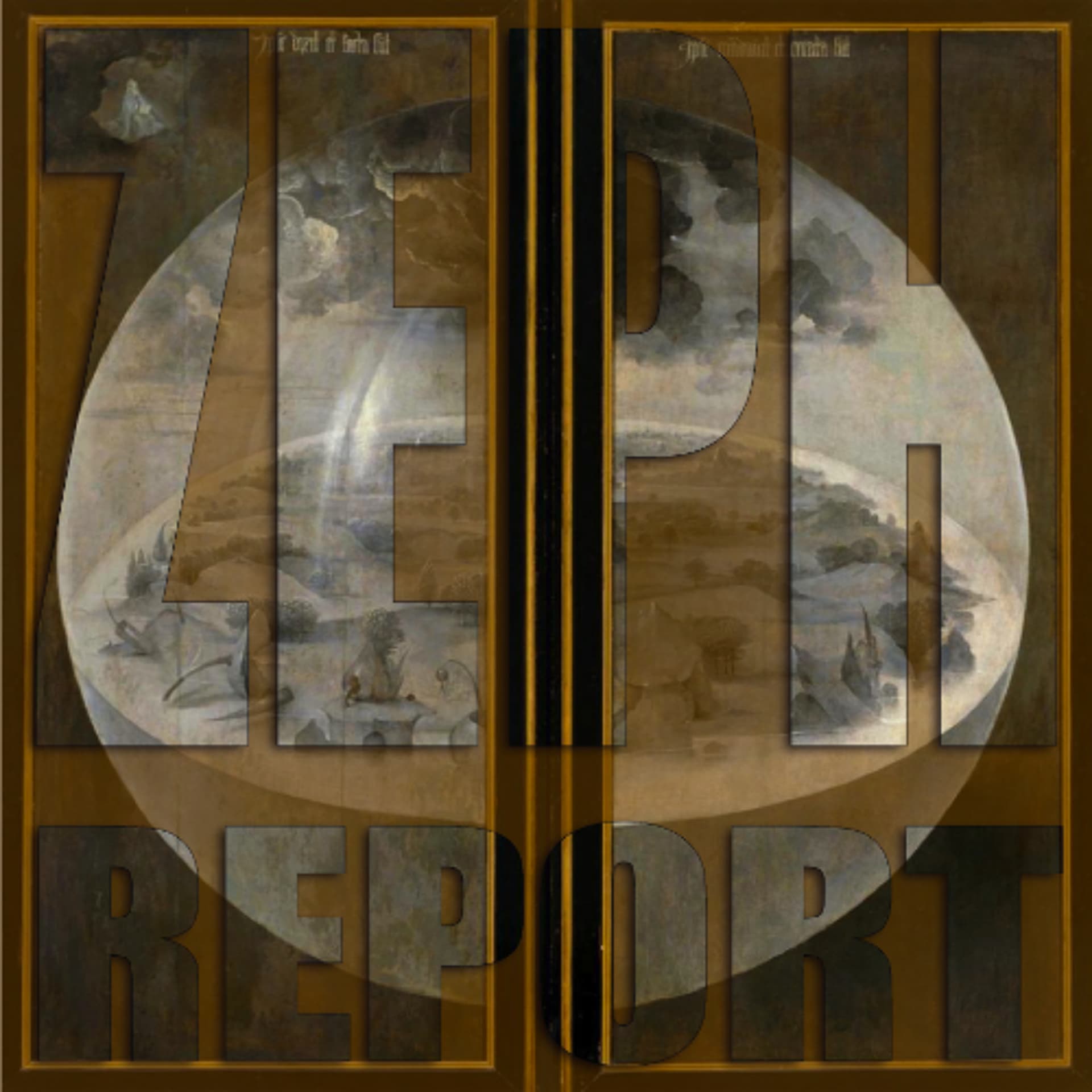 Expect it to be POLARIZED - Z Media Worldwide Podcast and Music cover