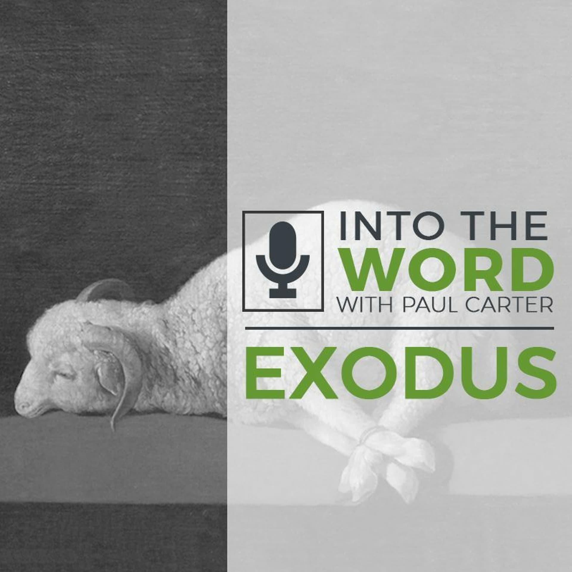 Exodus 1 - Into The Word with Paul Carter cover