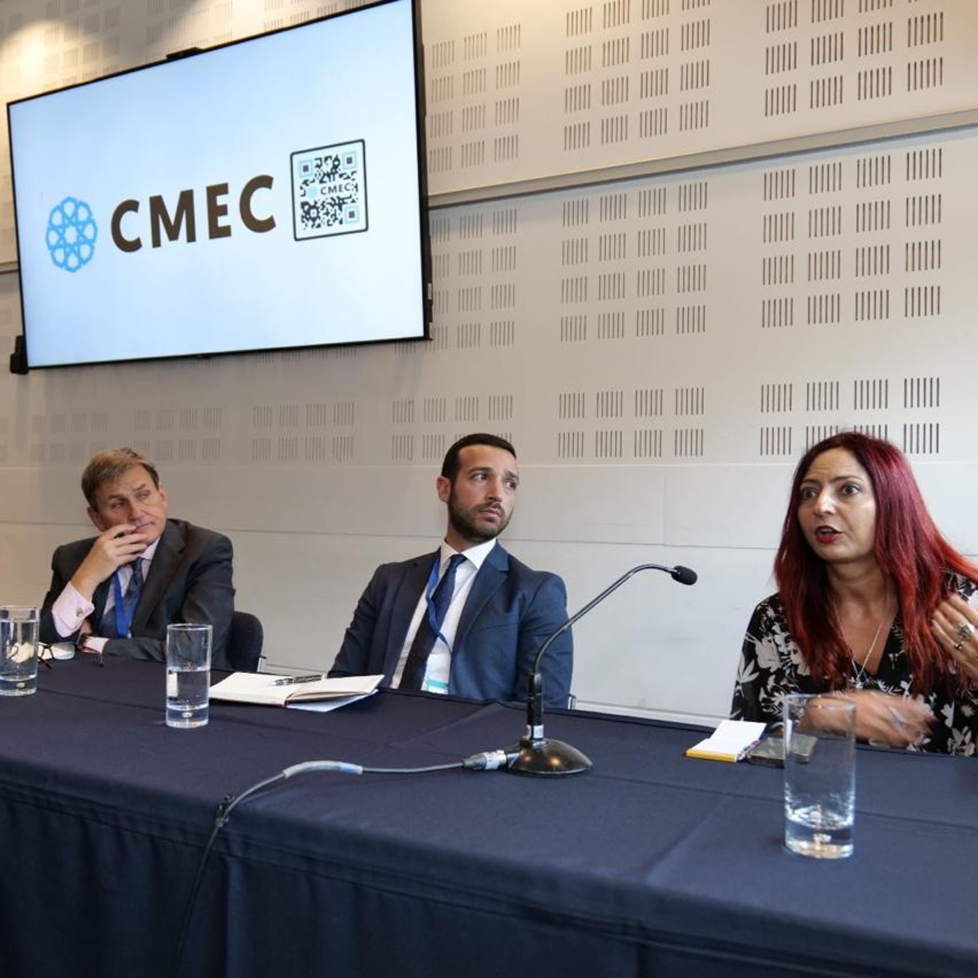 CMEC AT CPC25 Pt.3: The future of the Levant & its people - CMEC podcast cover