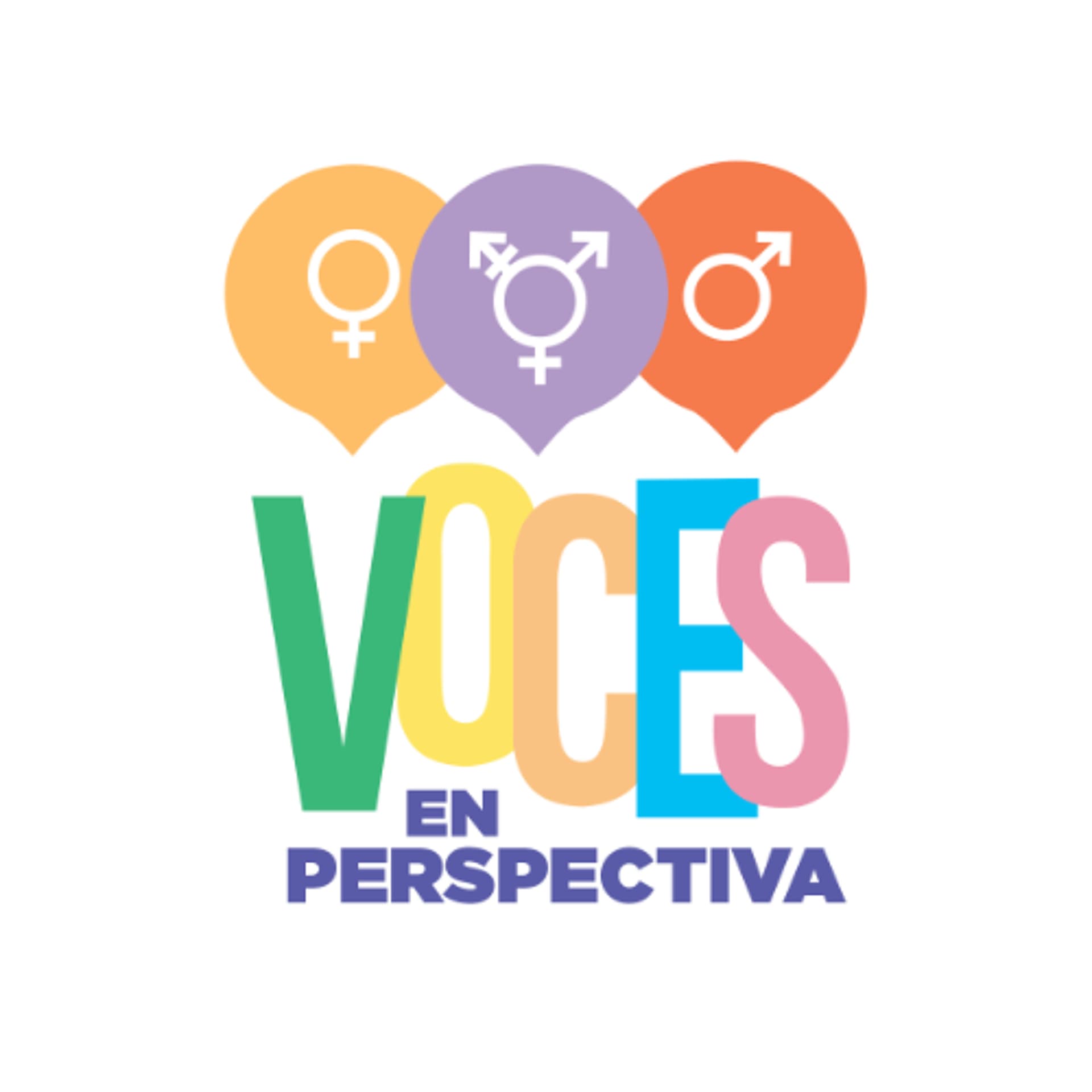 Voces en Perspectiva - Inteligencia Artificial, Ciberseguridad y Derechos Humanos - RADIOMÁS cover