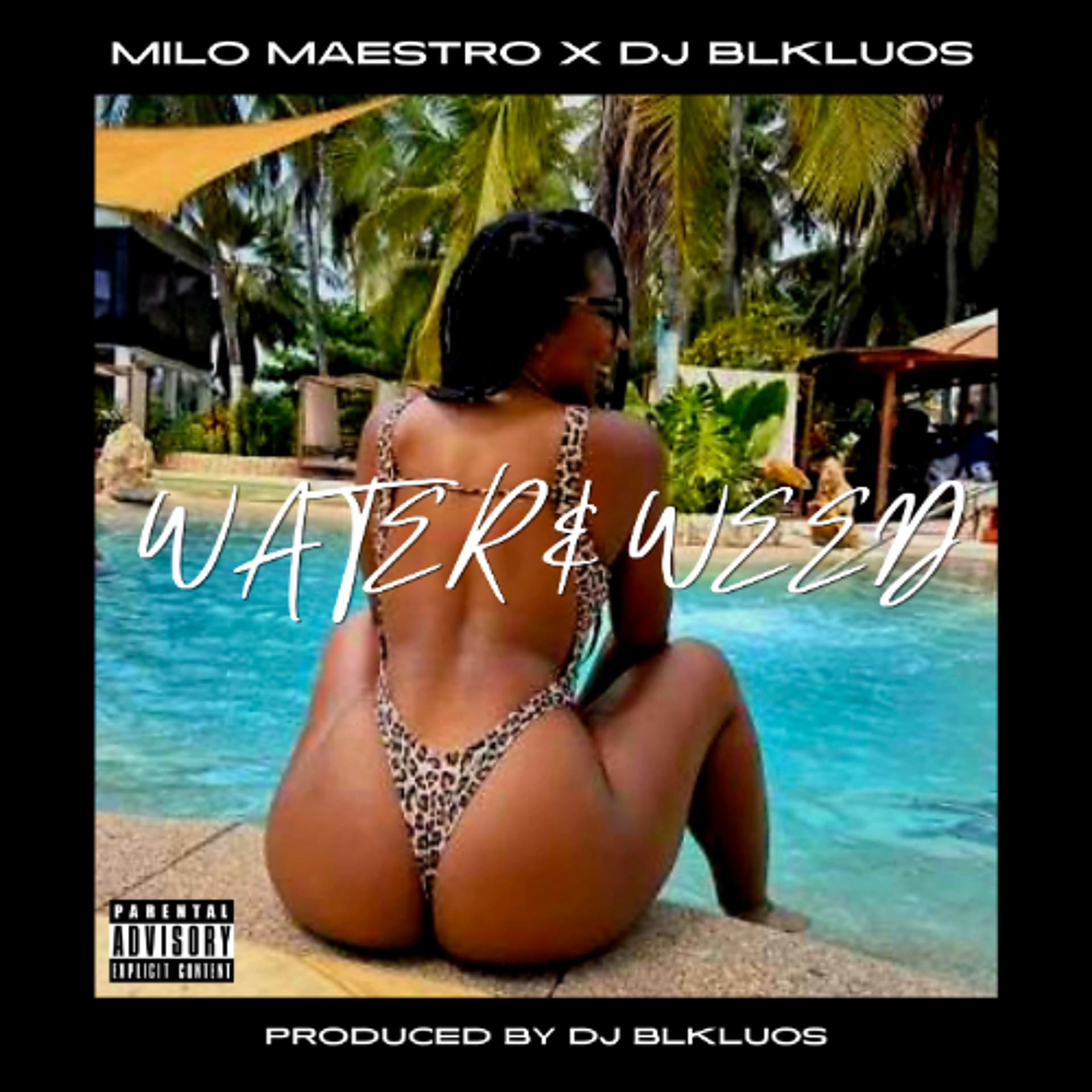 MILO MAESTRO x DJ BLKLUOS - WATER & WEED [PRODUCED BY DJ BLKLUOS] - Mixes By @DJBLKLUOS cover