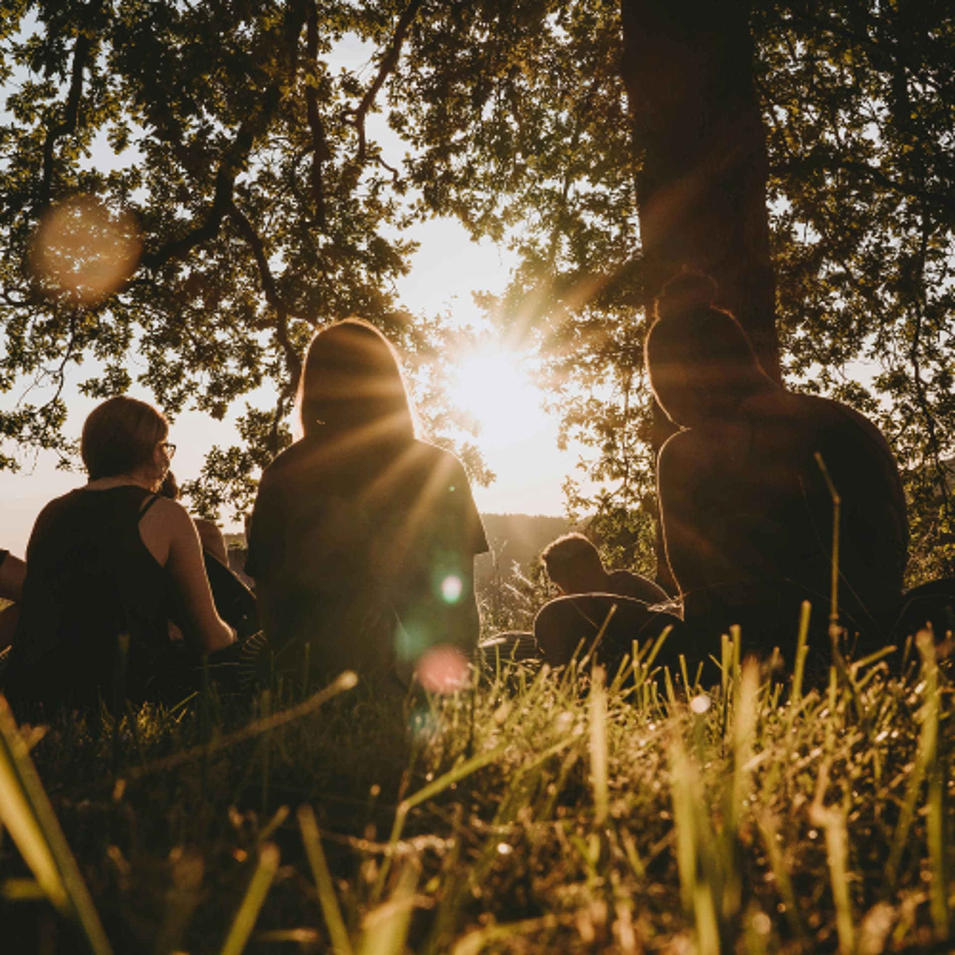 Fear Meditation: From Doing to Being — Conscious Leader of the Month cover