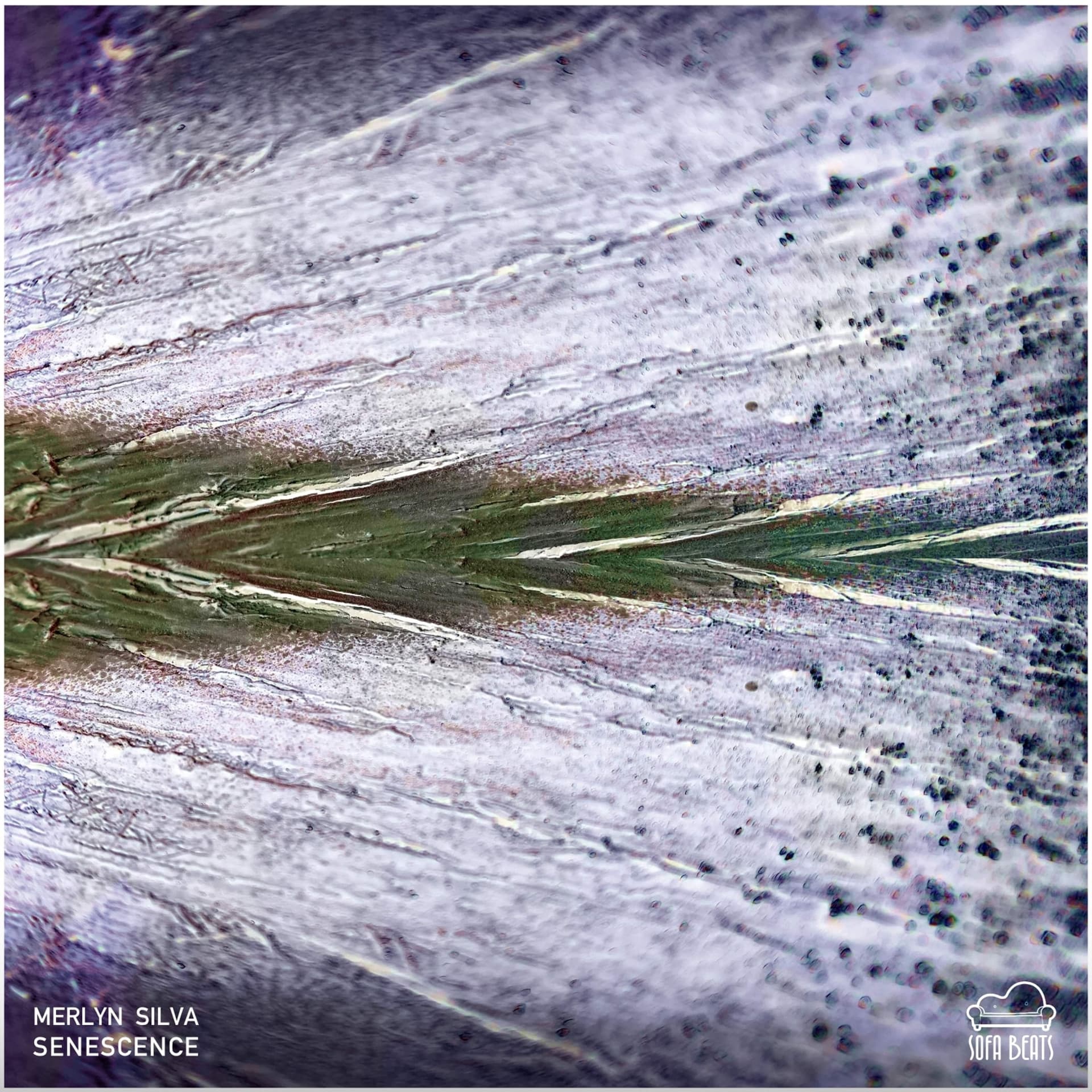 PREMIERE: Merlyn Silva - Field Trip (Original Mix) [SofaBeats] - Iboga Radio Show cover