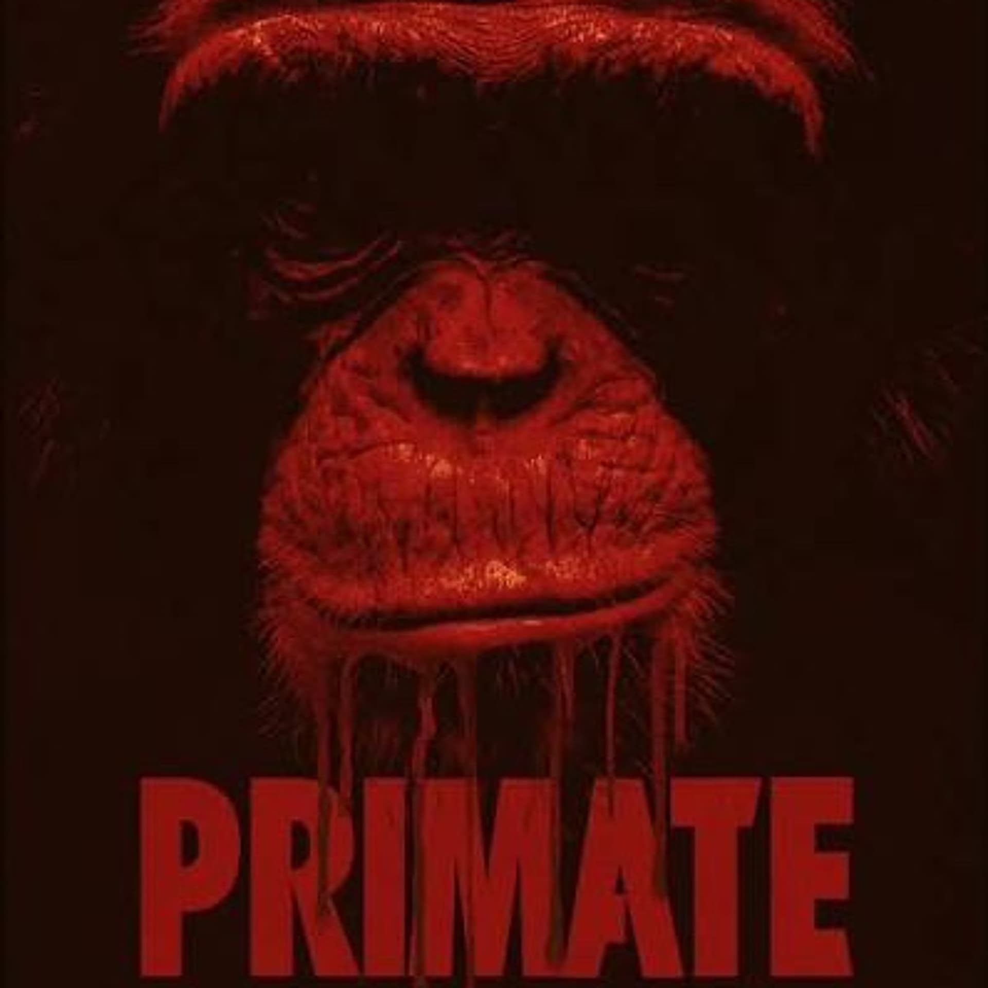 #888: Primate - Adventures in Videoland cover