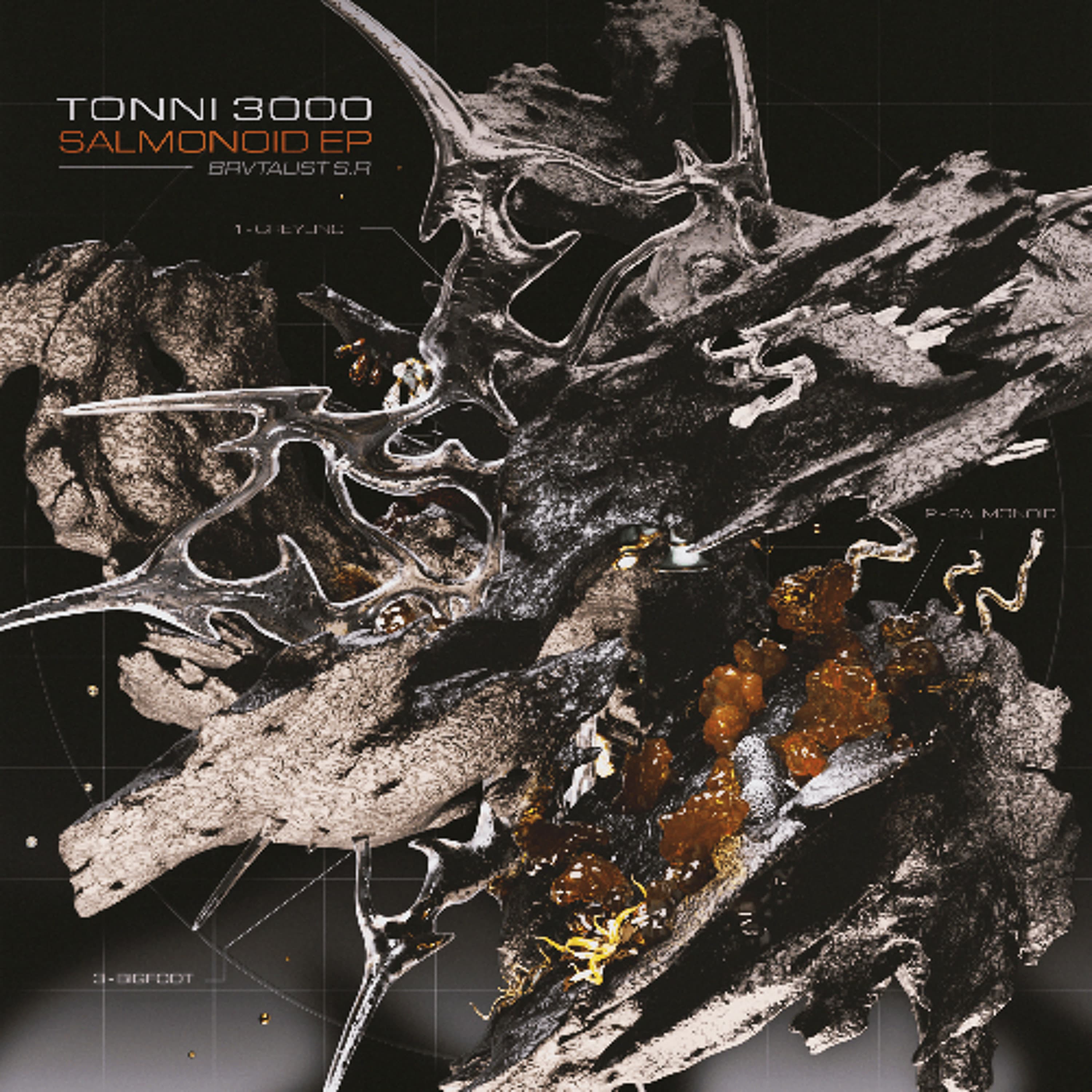 Tonni 3000 - Salmonoid [BSRDGTL07] *PRE ORDER NOW* - THE BRVTALIST cover