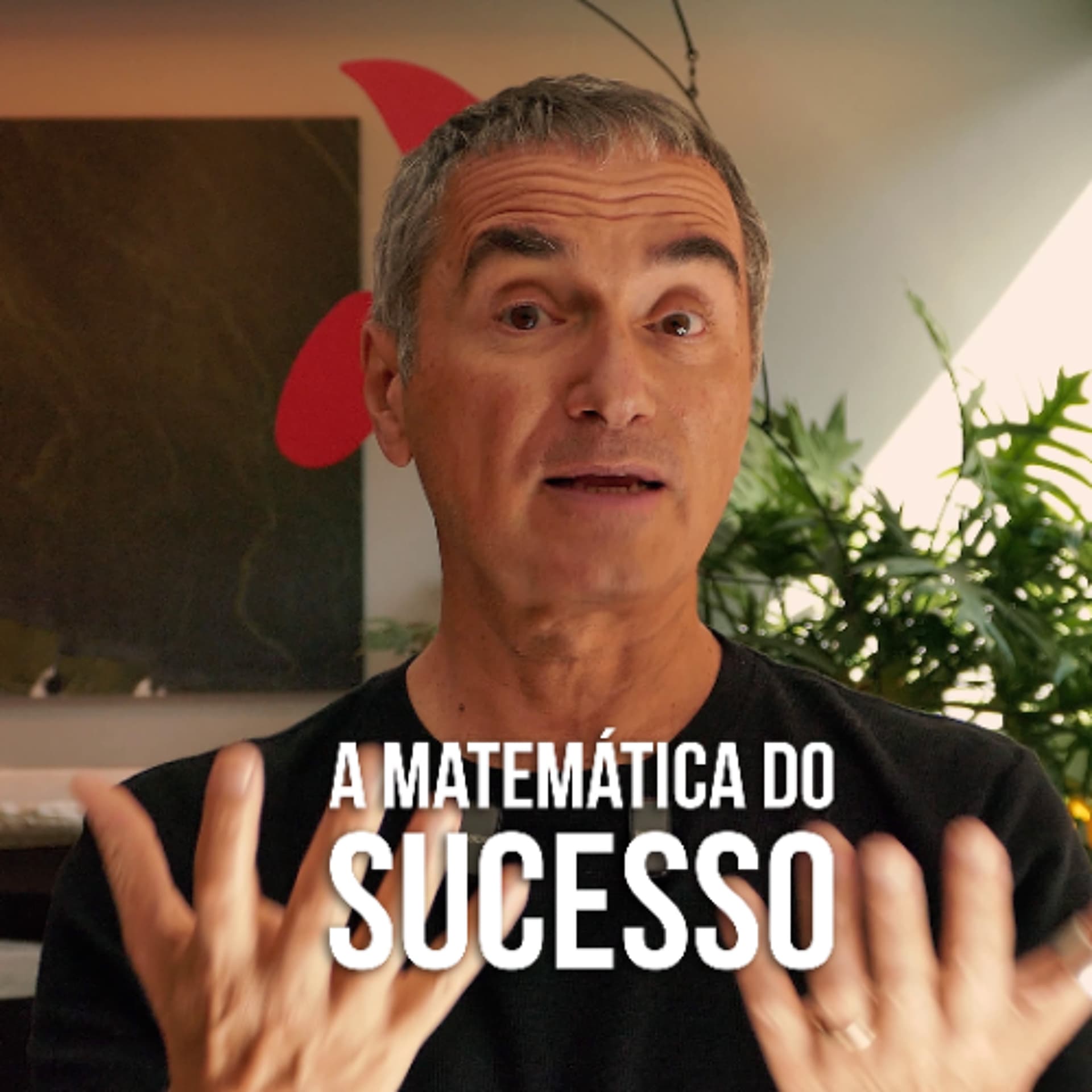 a matemática do sucesso — meus podcasts reunidos cover