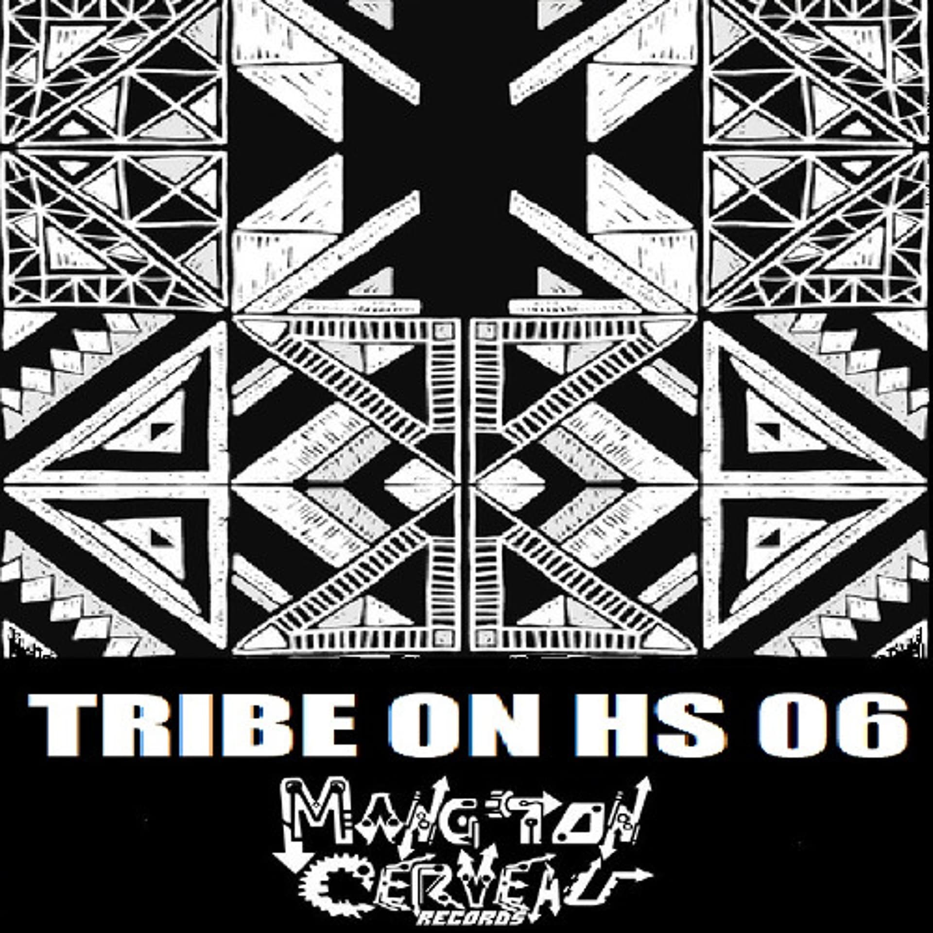Disakortex - Brothers Evolved (Tribe On Hs 06) MTC Records - Disakortex MTC aka Dr Brain cover