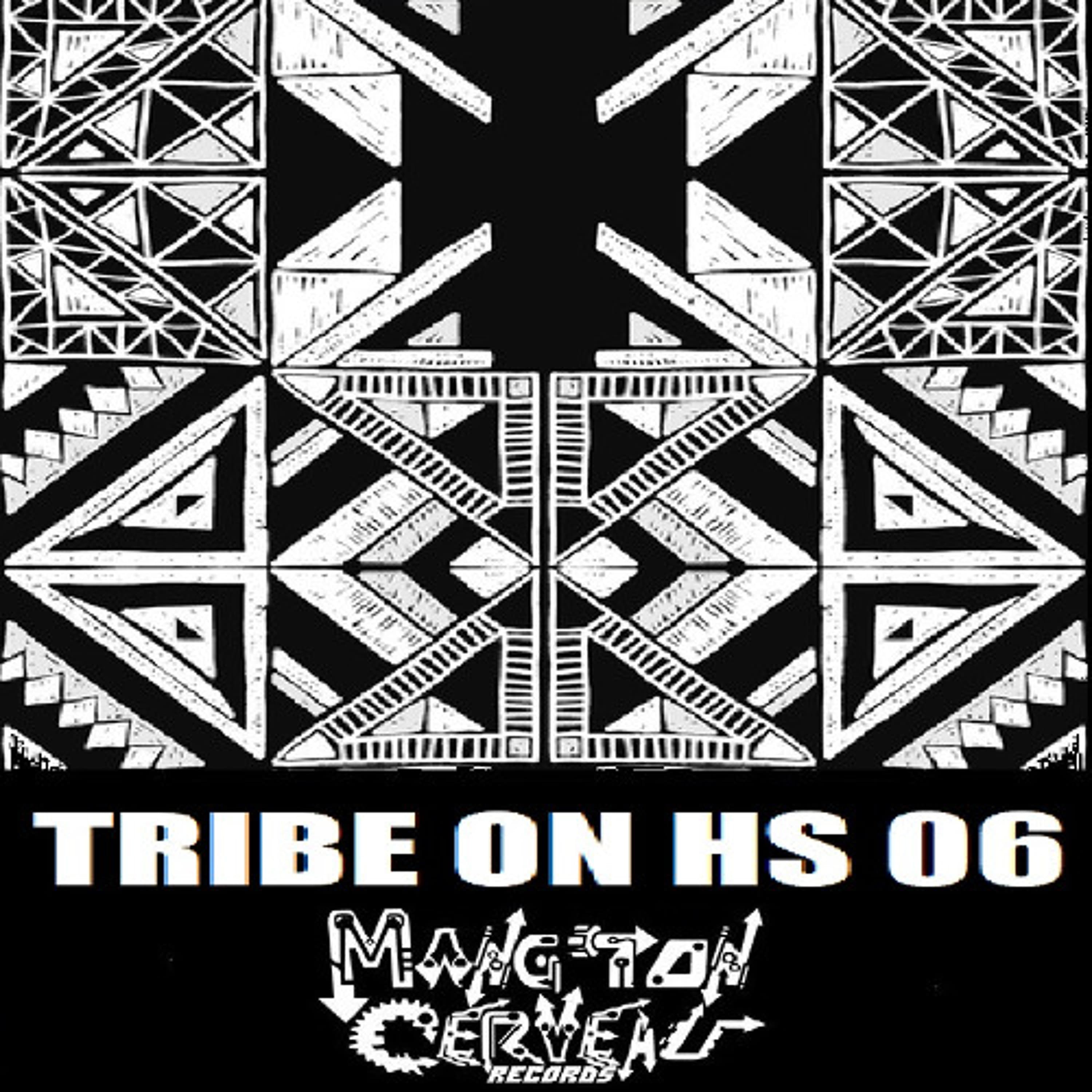 Disakortex - Brothers Evolved (Tribe On Hs 06) MTC Records - Disakortex MTC aka Dr Brain cover