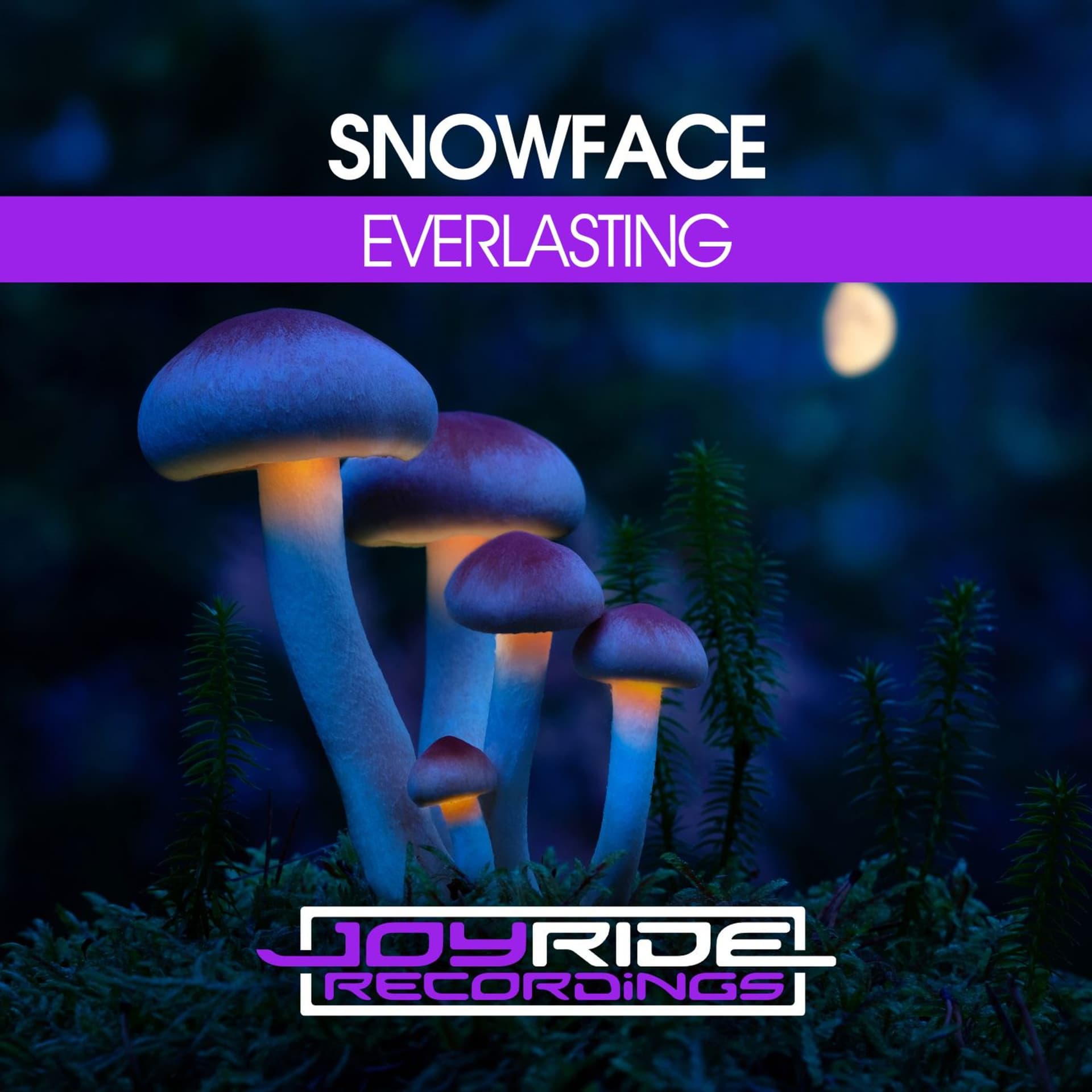 Snowface - Everlasting | Beatport excl. OUT 29 MAY 2026 — Joyride Music cover