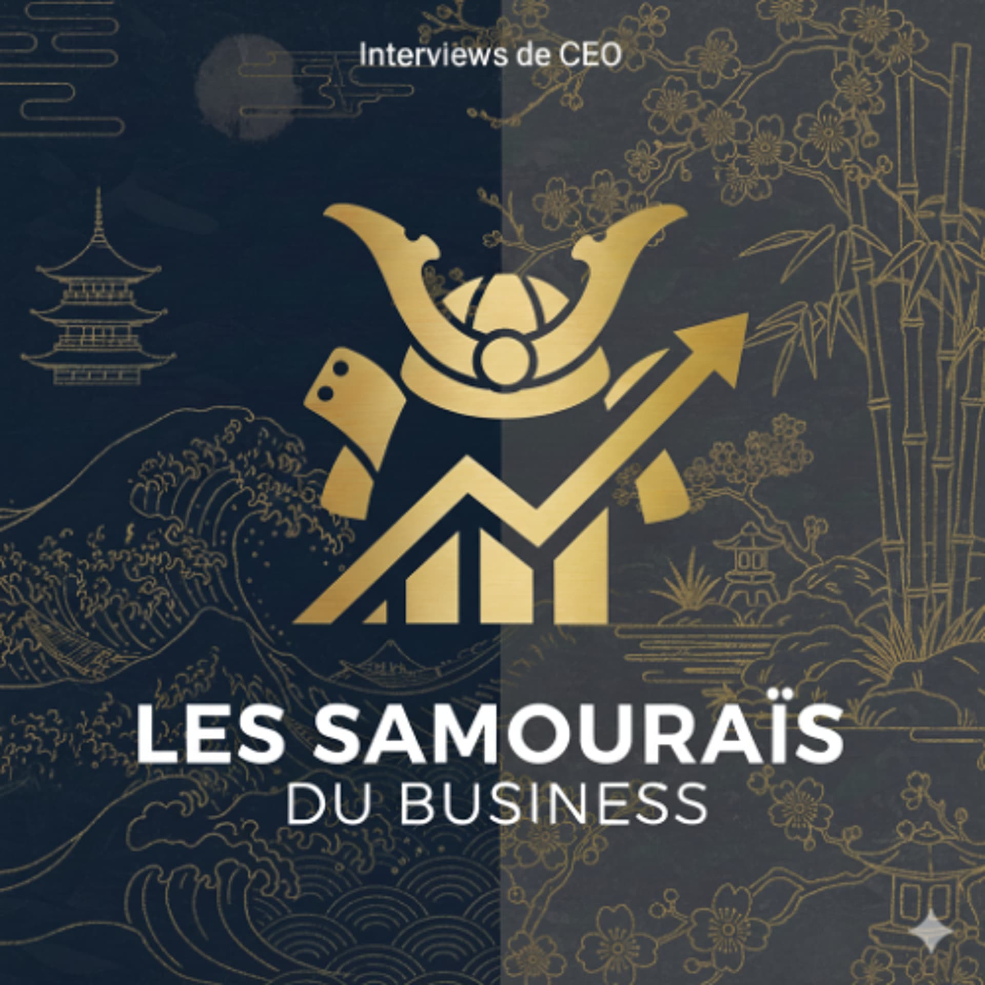 #770 - Anthony Bitar, CEO de Piano Led - Les Samouraïs du Business cover