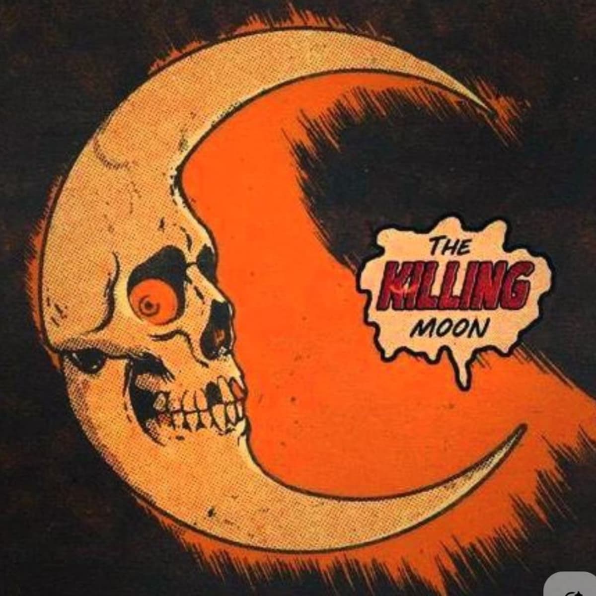 Moon Rider - Picantech cover