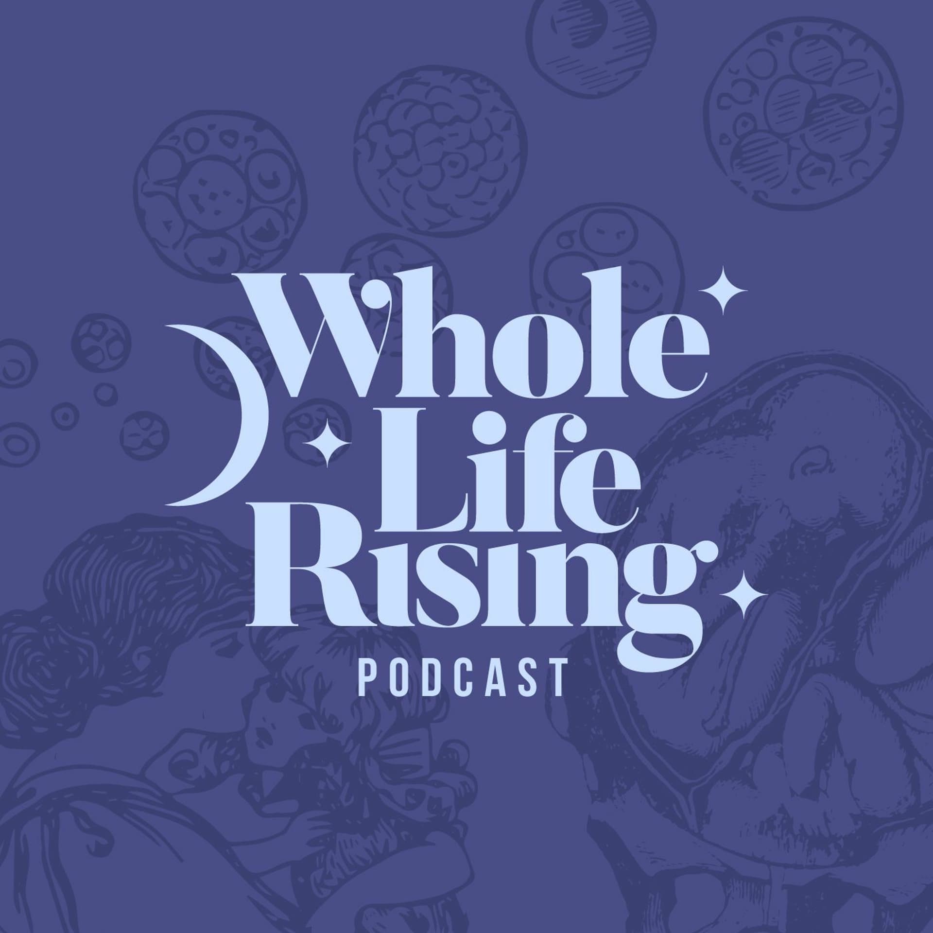 Episode 5 - Chris Butler - Whole Life Rising cover