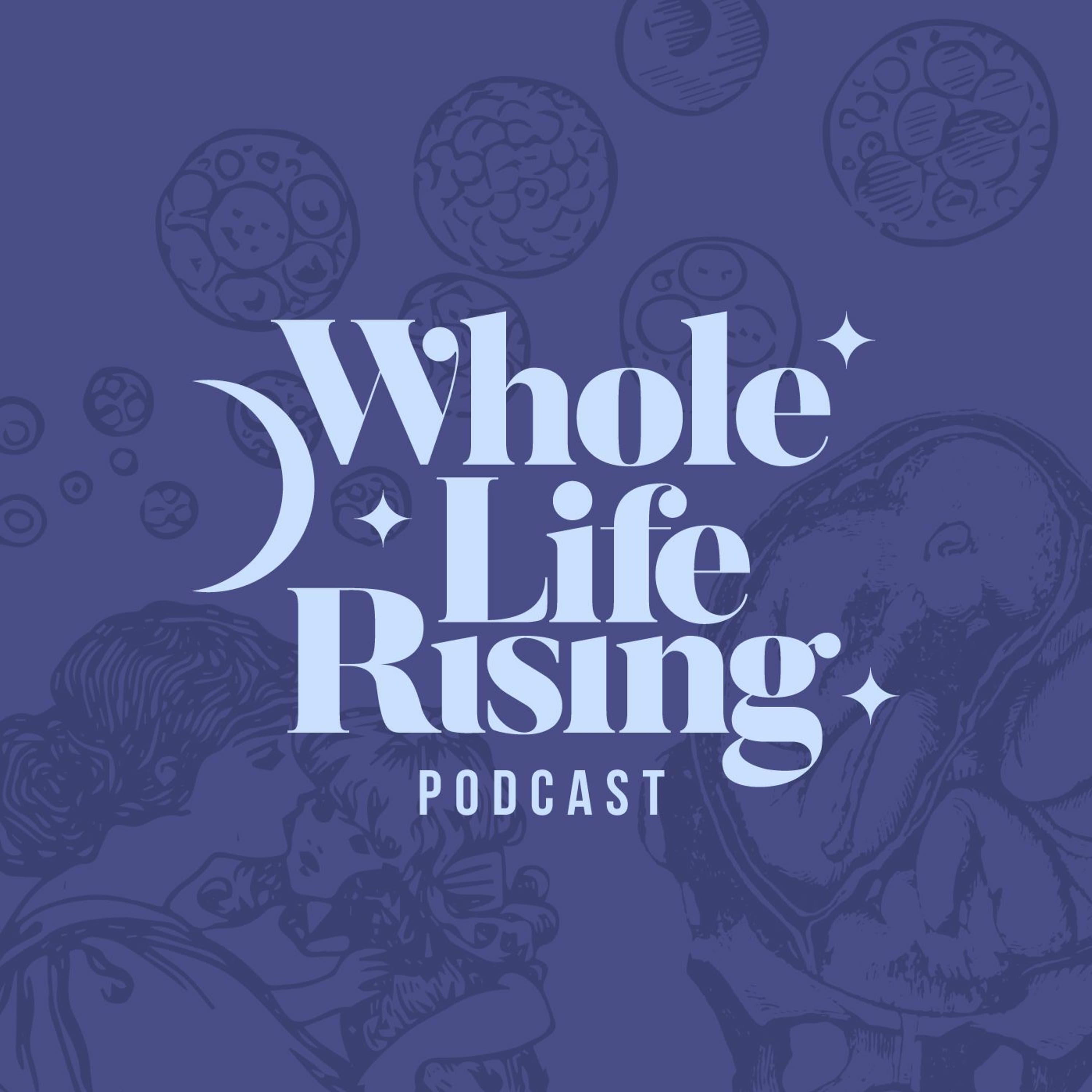 Episode 5 - Chris Butler - Whole Life Rising cover