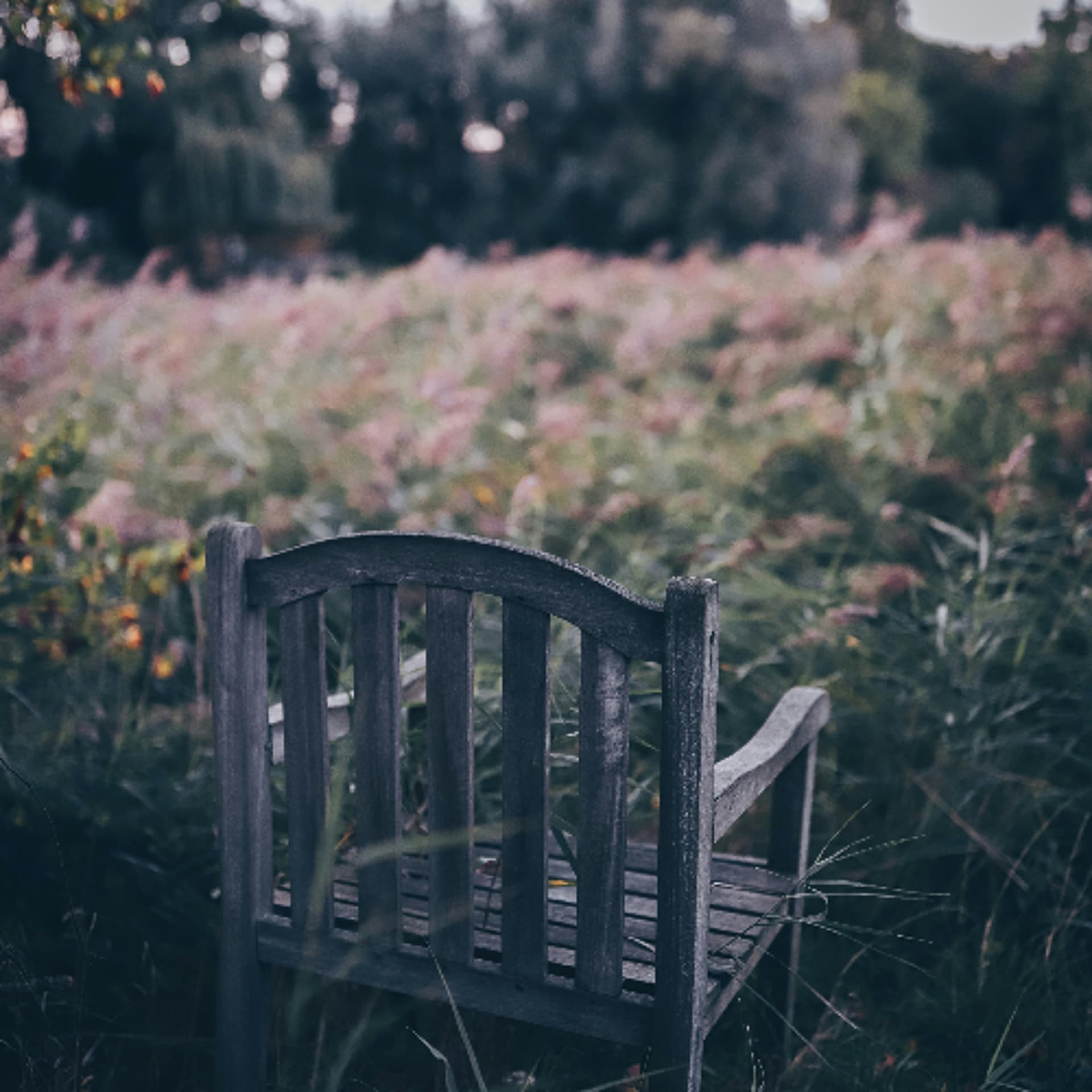 Zen - A Direct Transmission from No Mind to No Mind - Spreading Happiness cover