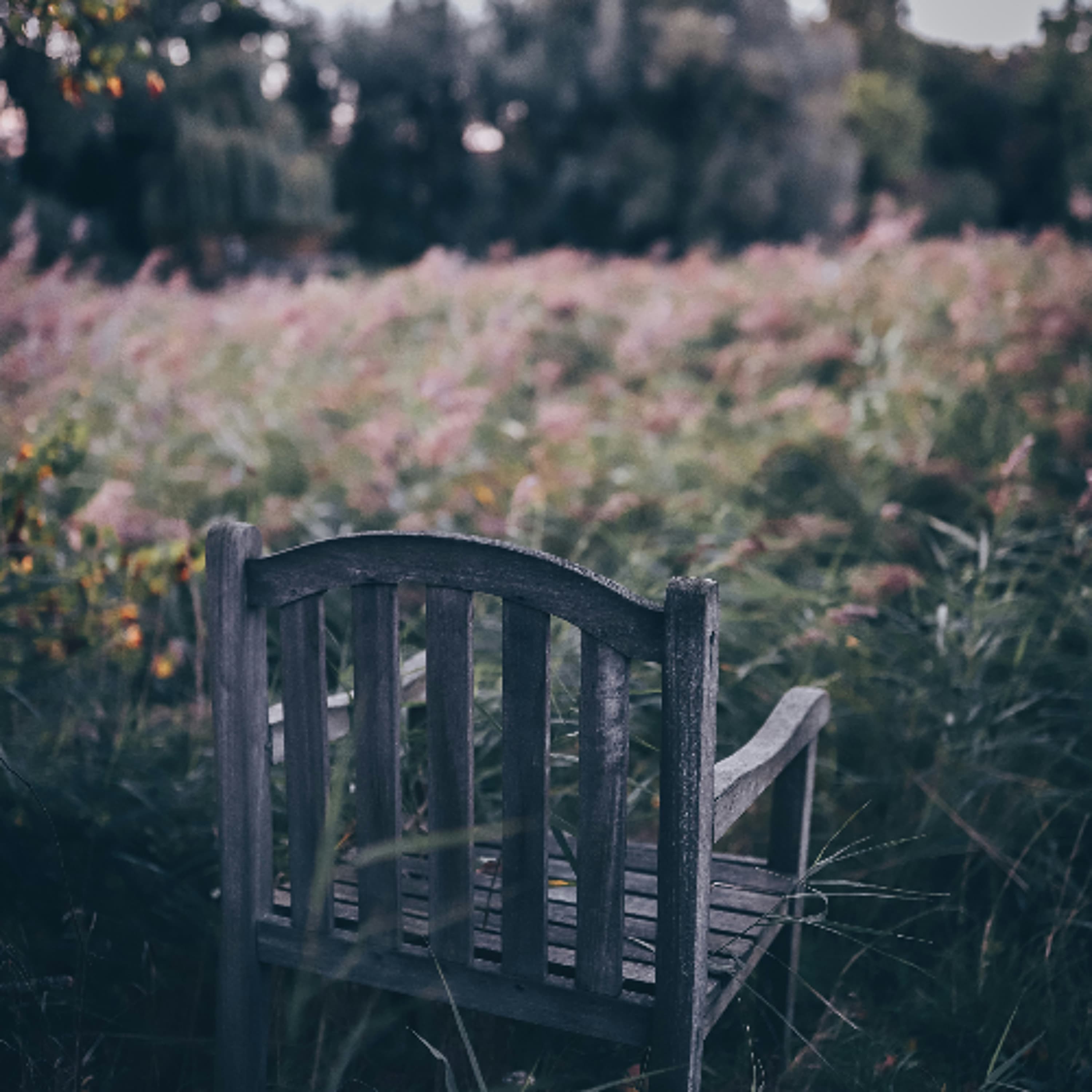 Zen - A Direct Transmission from No Mind to No Mind - Spreading Happiness cover