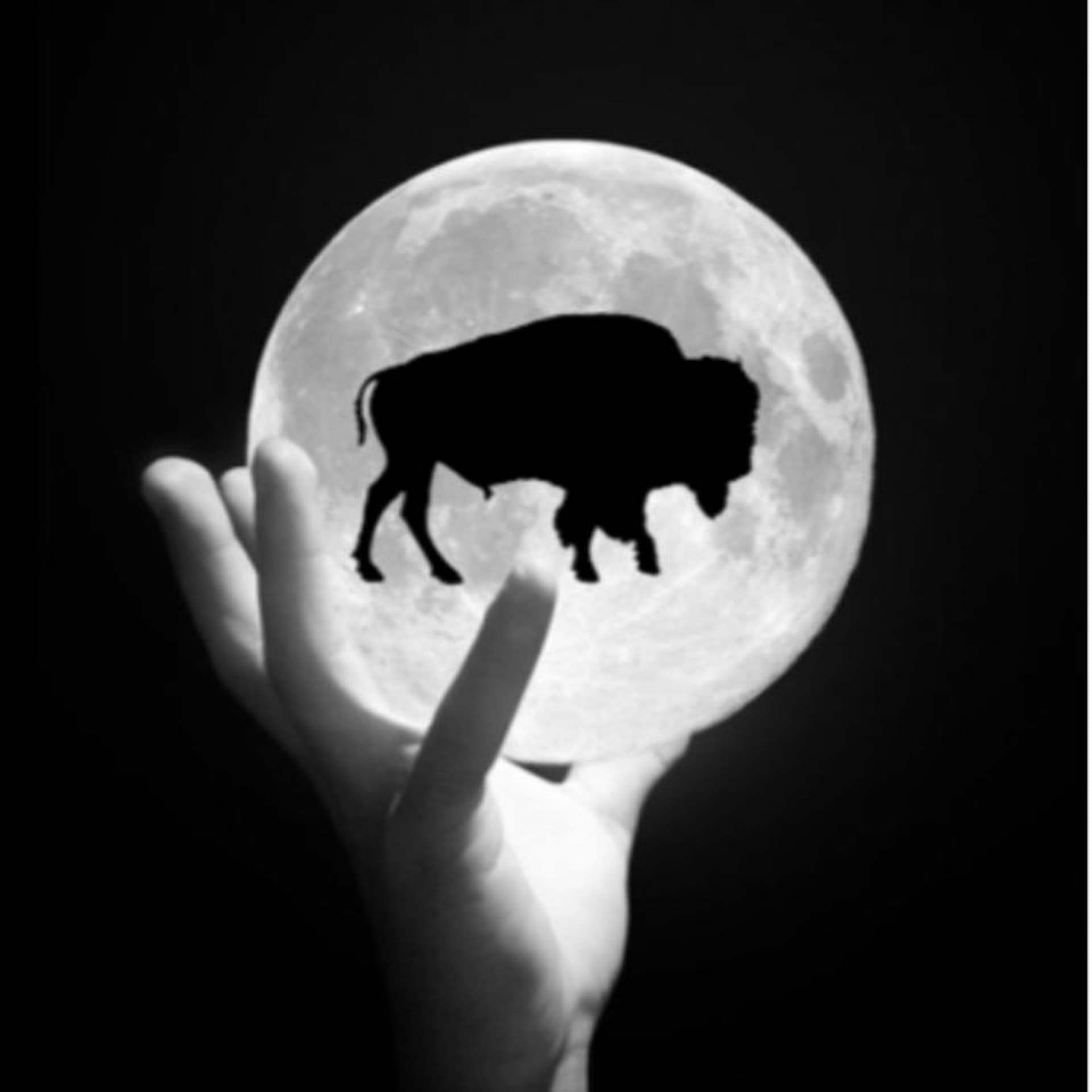 Self Improvement Daily – Storage - Bison Moon – BM01 – 39 - Bison Moon Group Inc cover