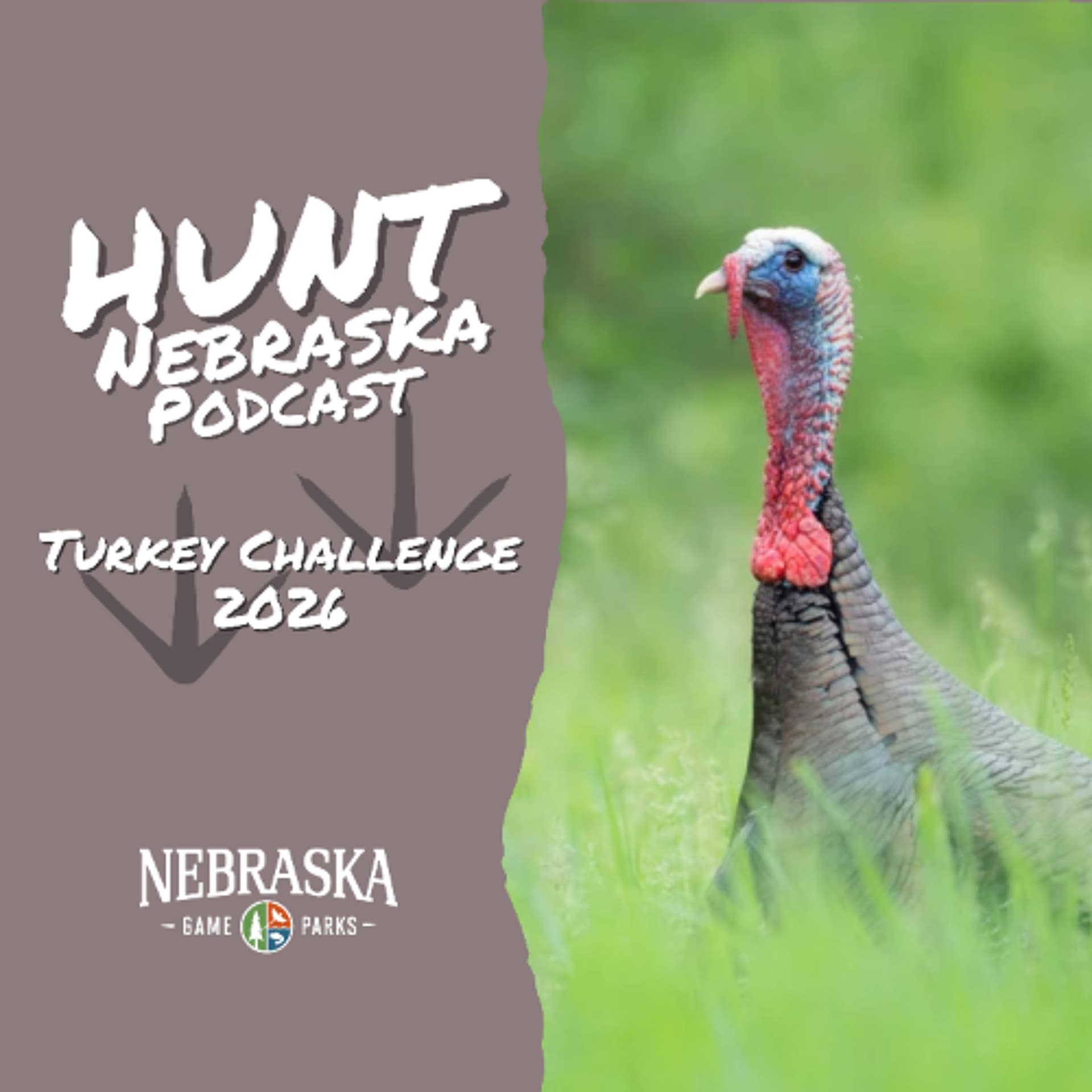Turkey Challenge 2026 — Hunt Nebraska cover